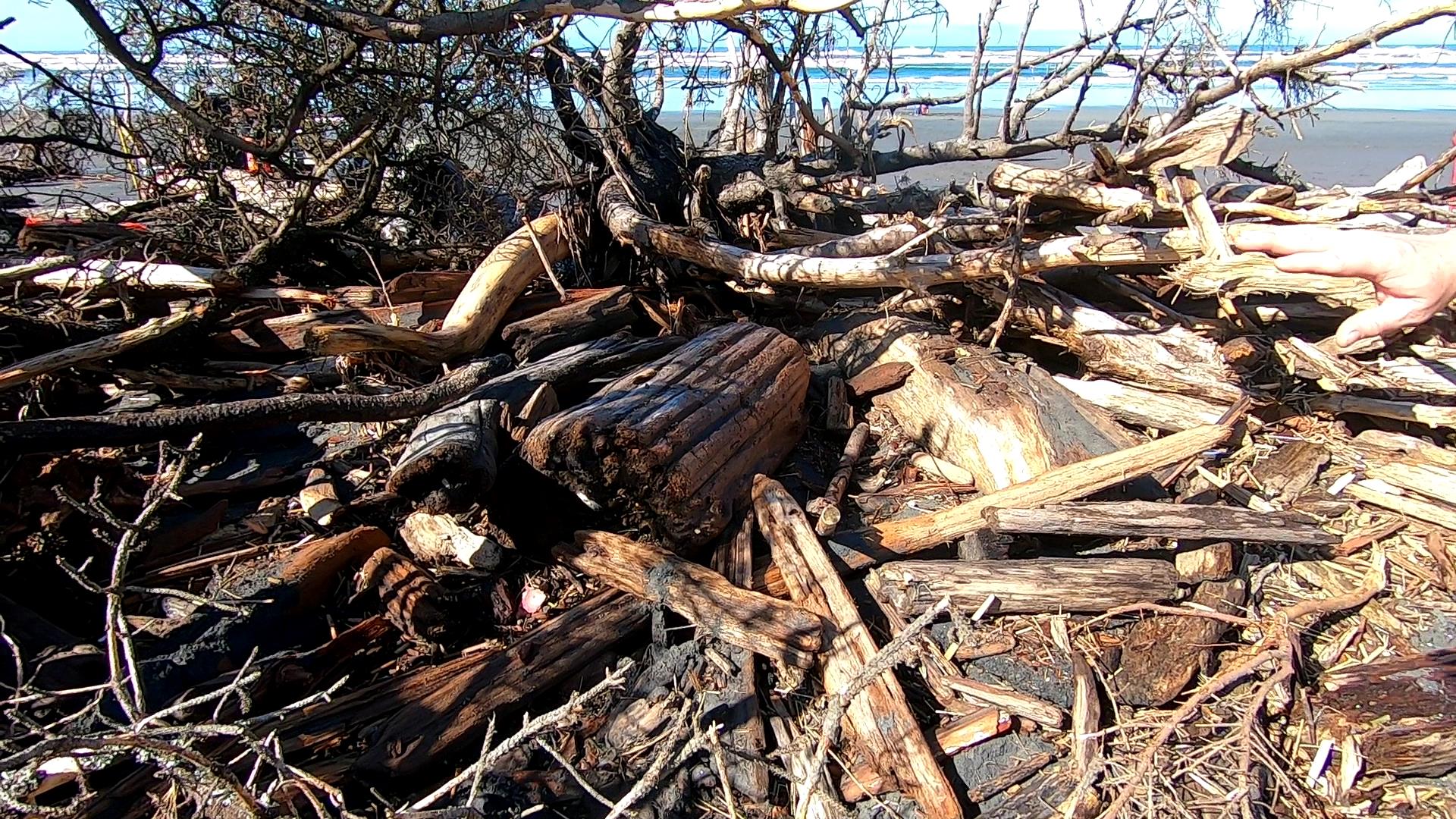 Member content 2 of 13