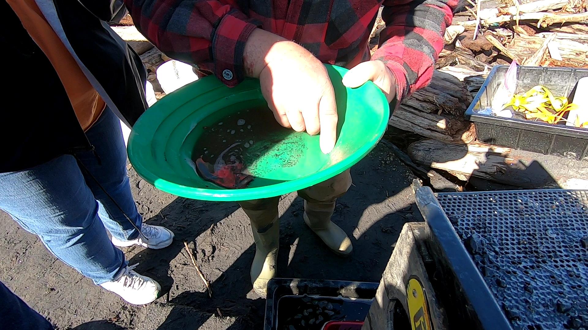 Member content 4 of 13