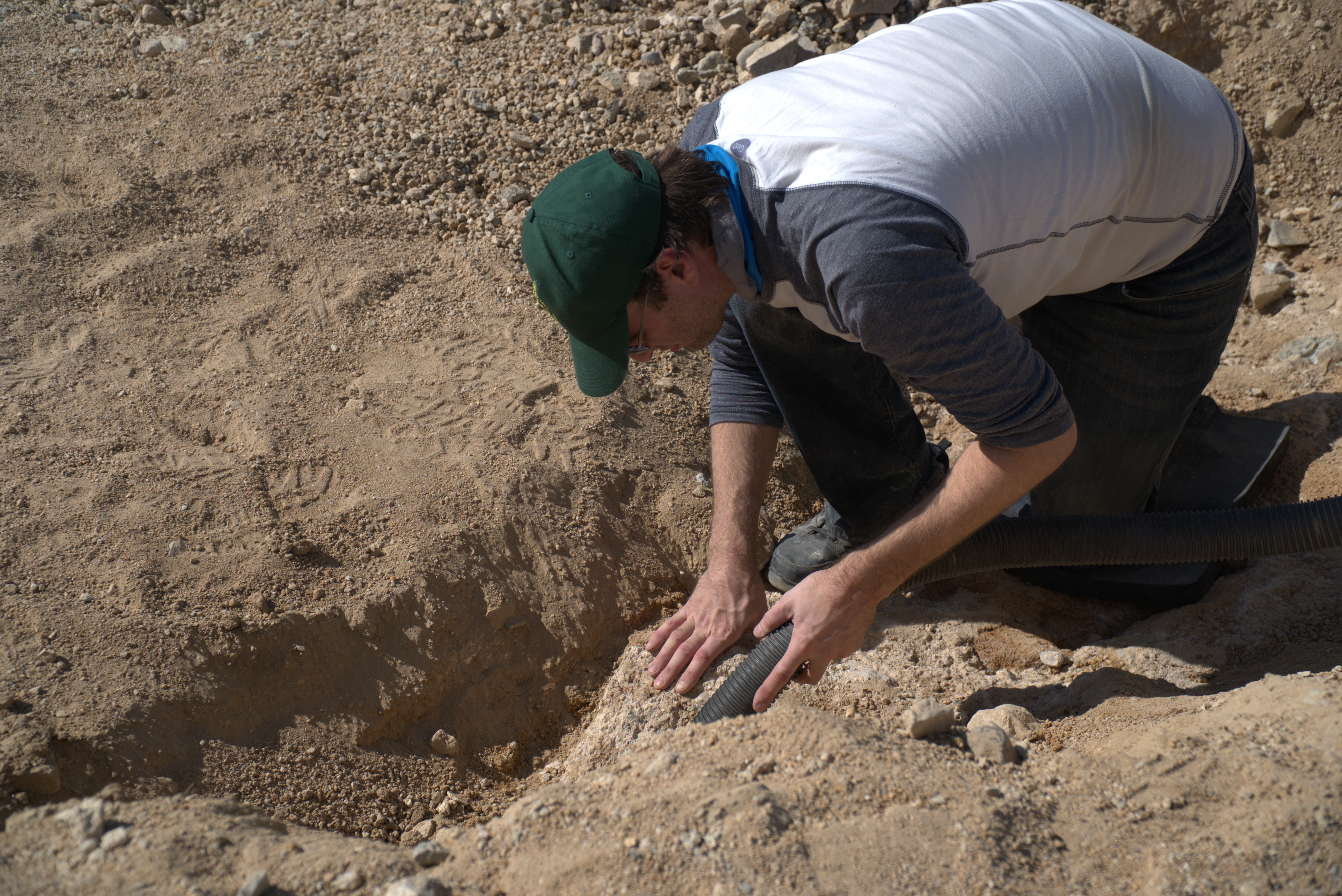 Member content 75 of 206