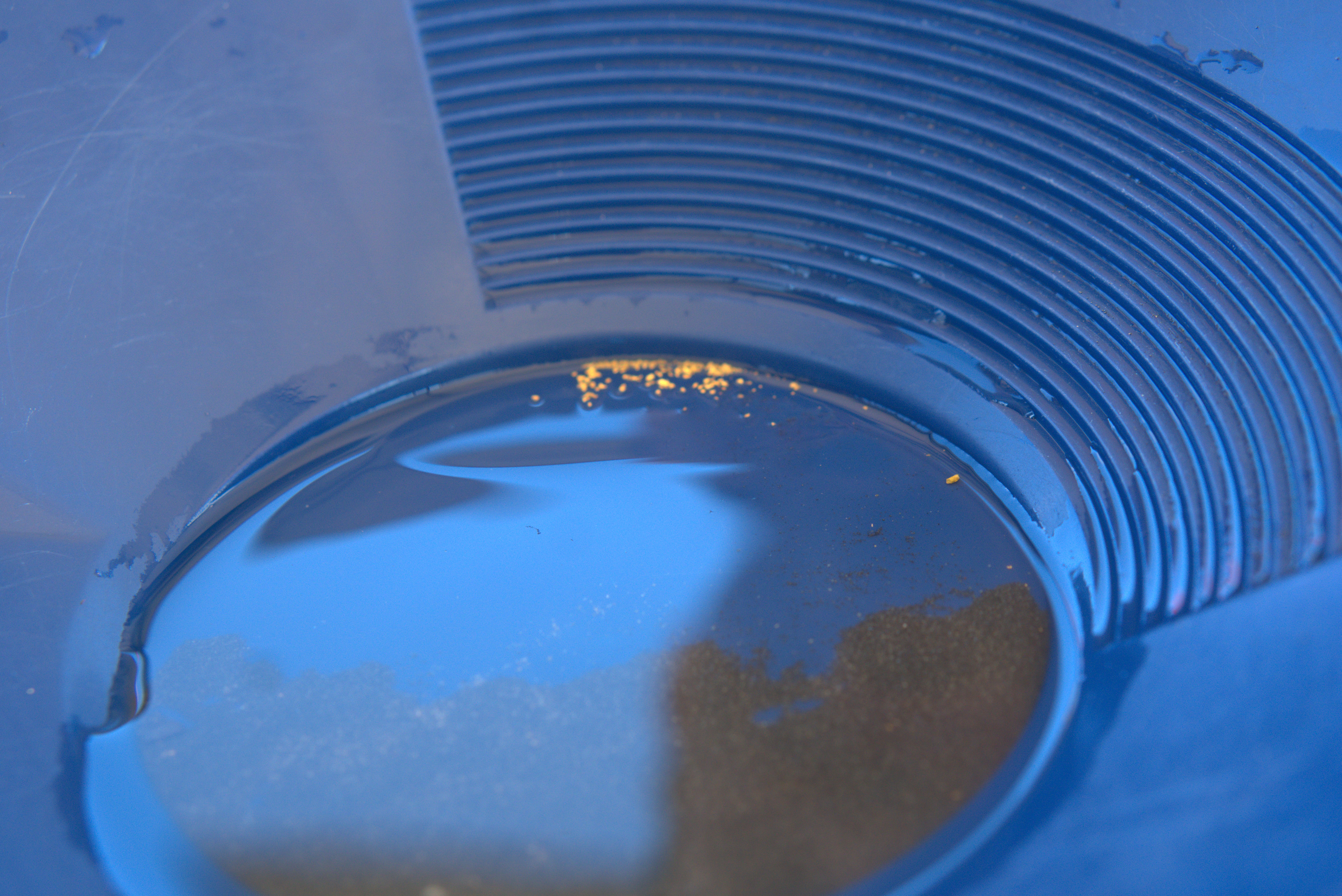 Member content 79 of 206