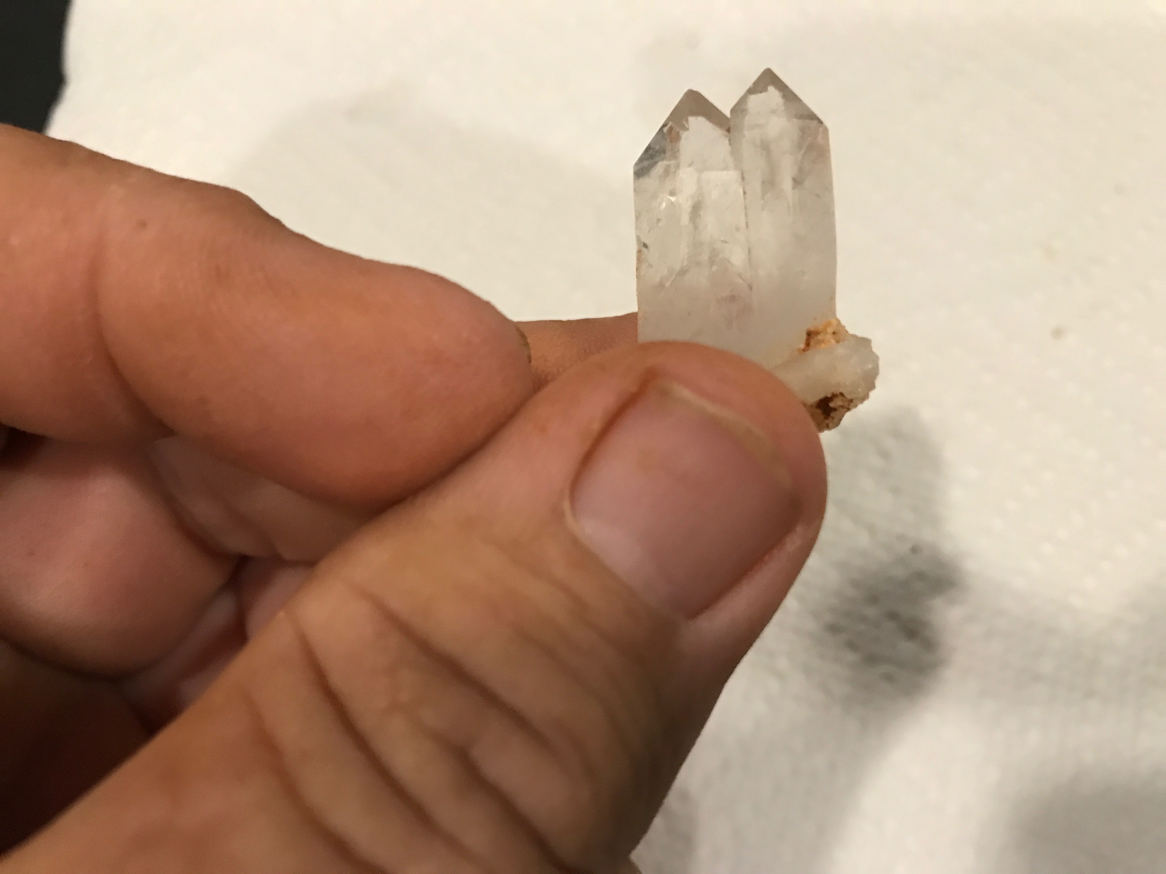 Member content 1 of 1