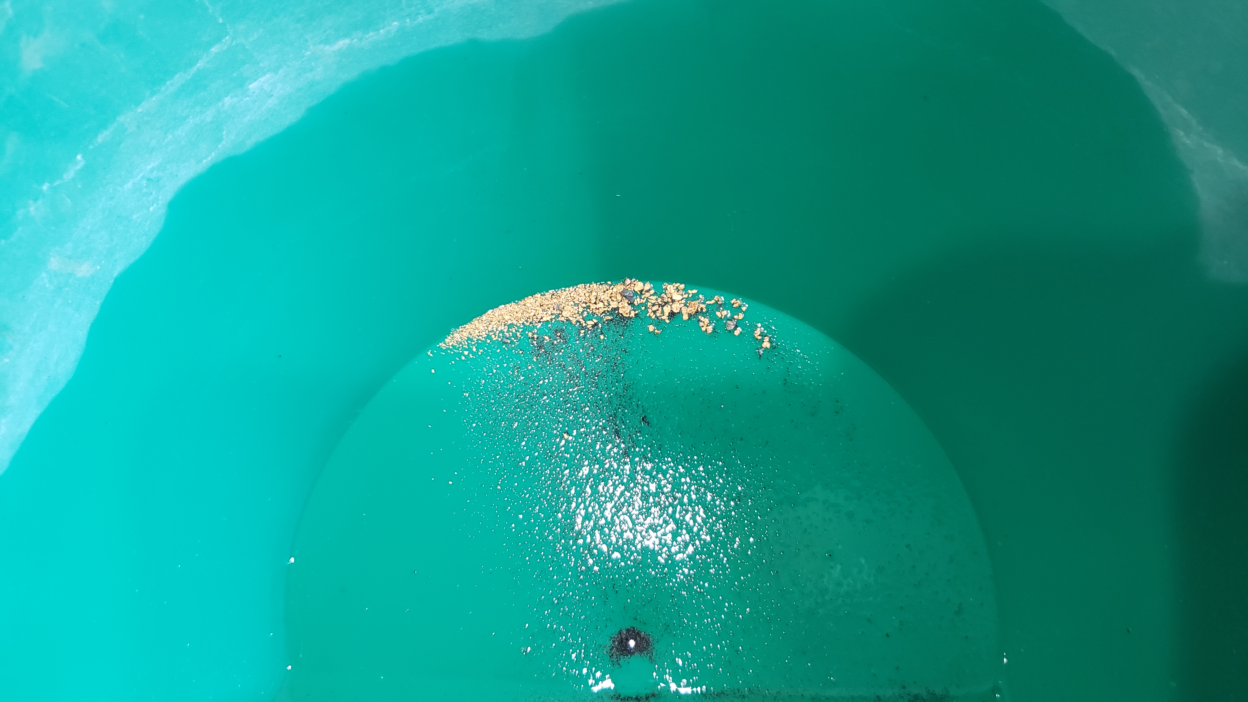 Member content 44 of 97