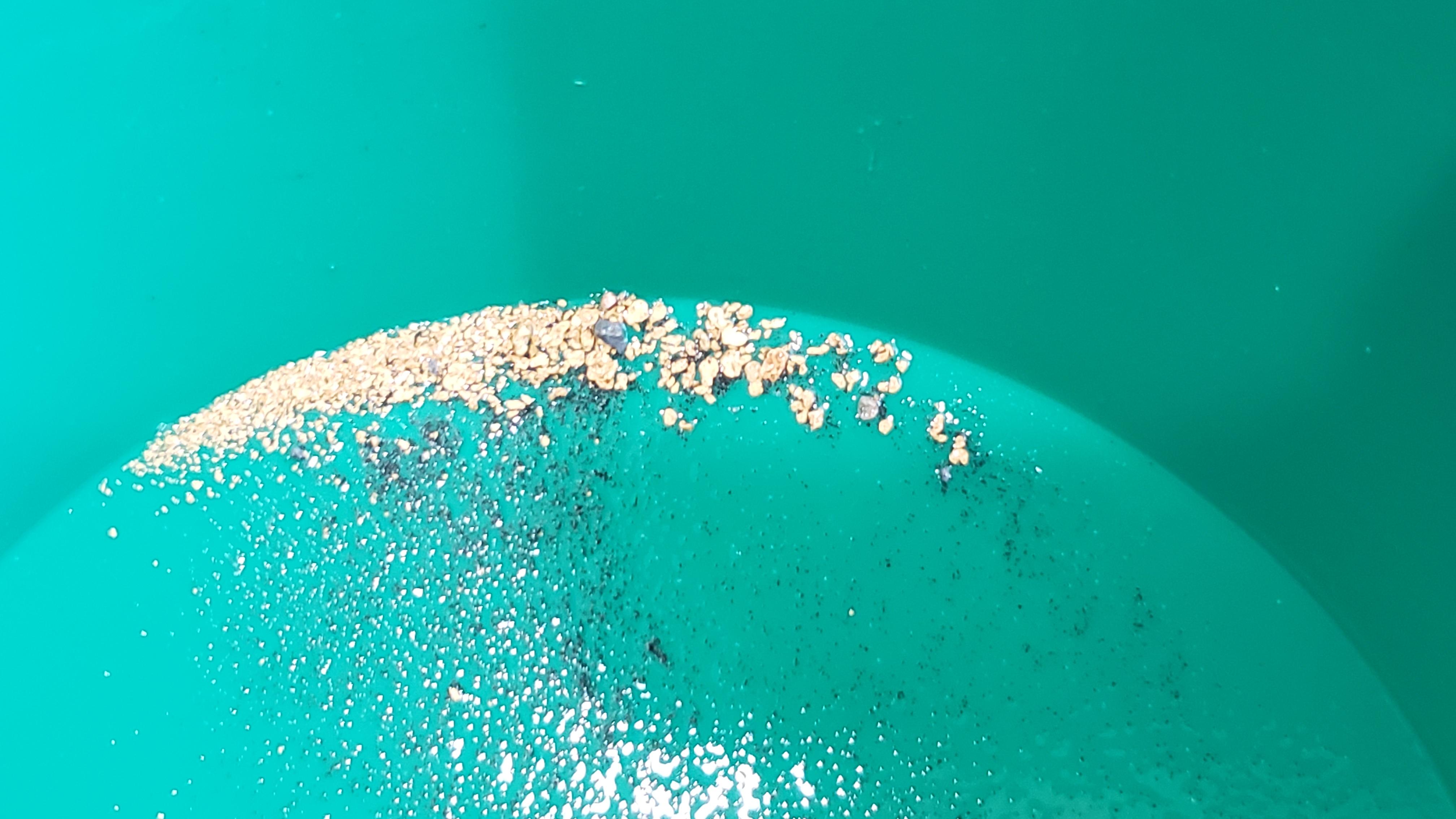 Member content 45 of 97