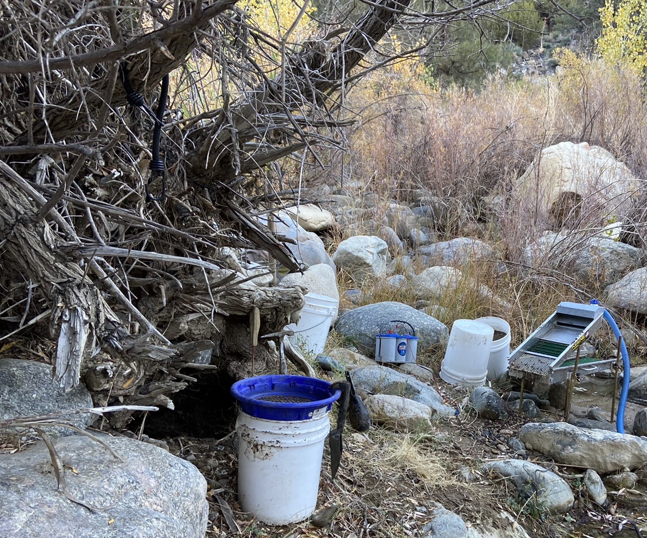 Member content 13 of 27