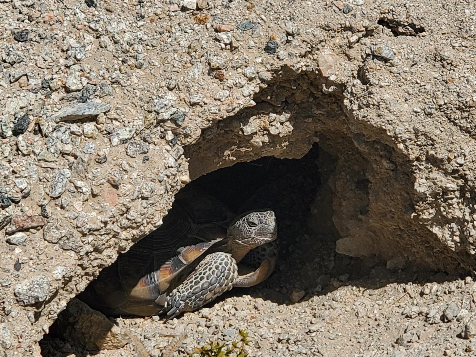 Member content 127 of 206