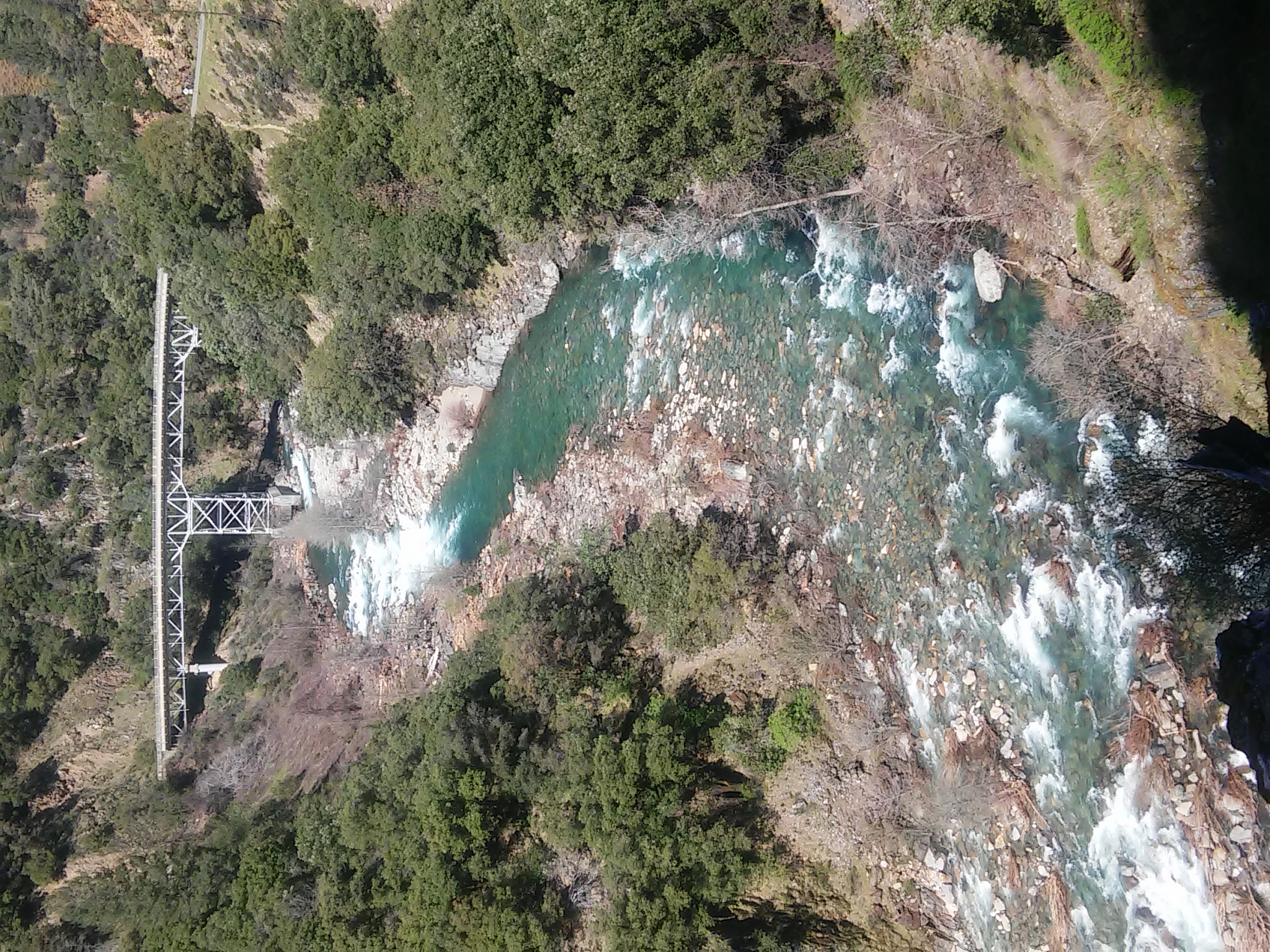 Member content 2 of 38