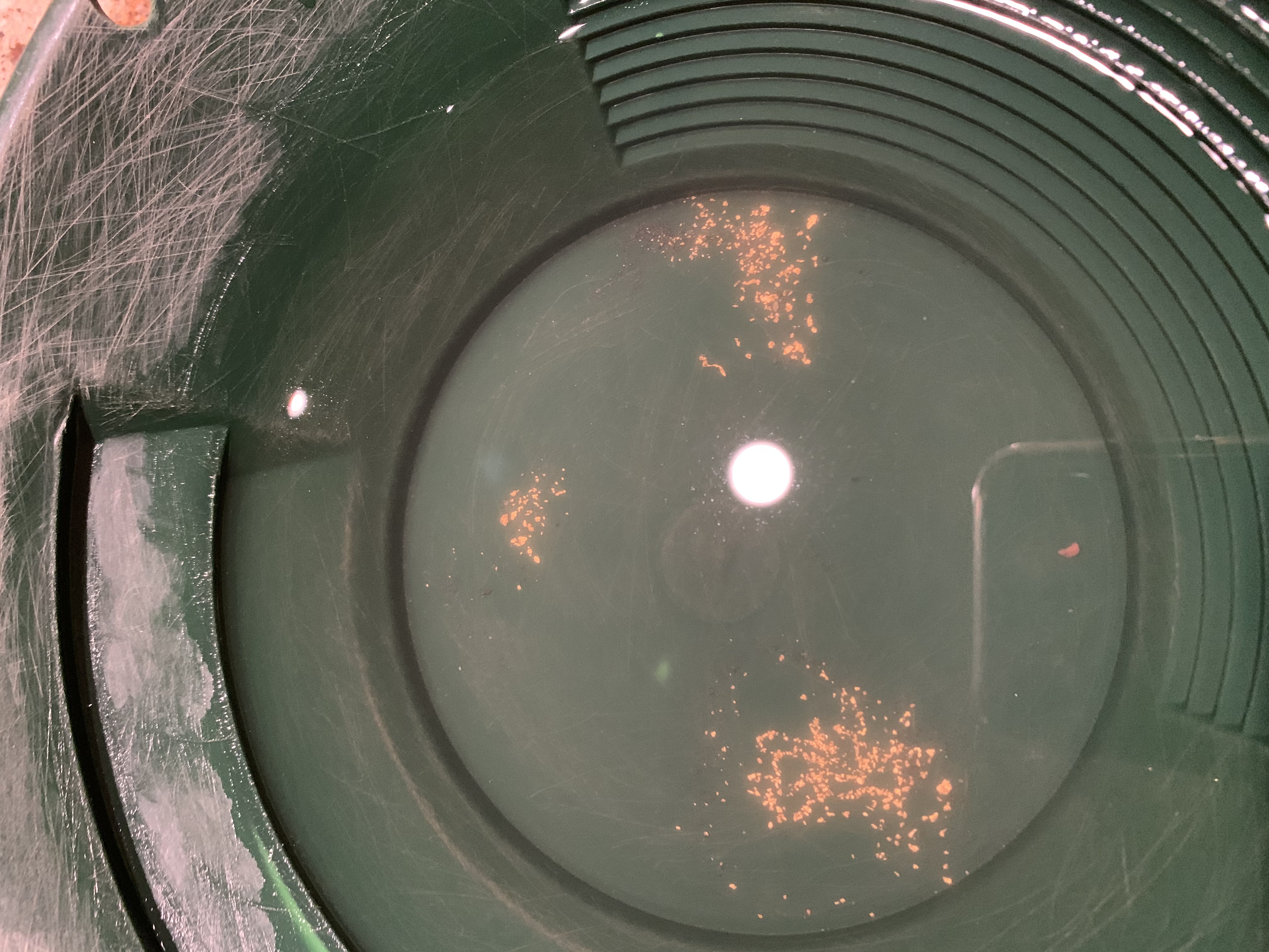 Member content 3 of 12