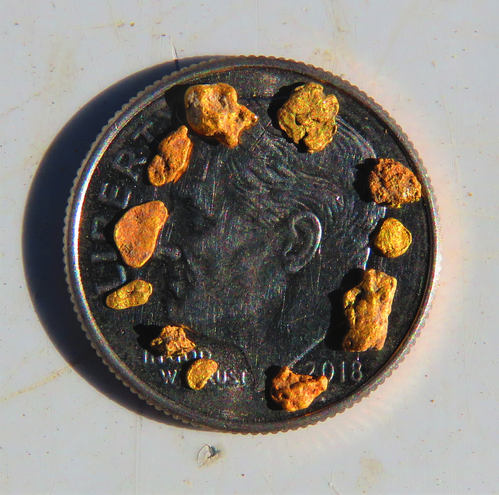 Member content 64 of 206