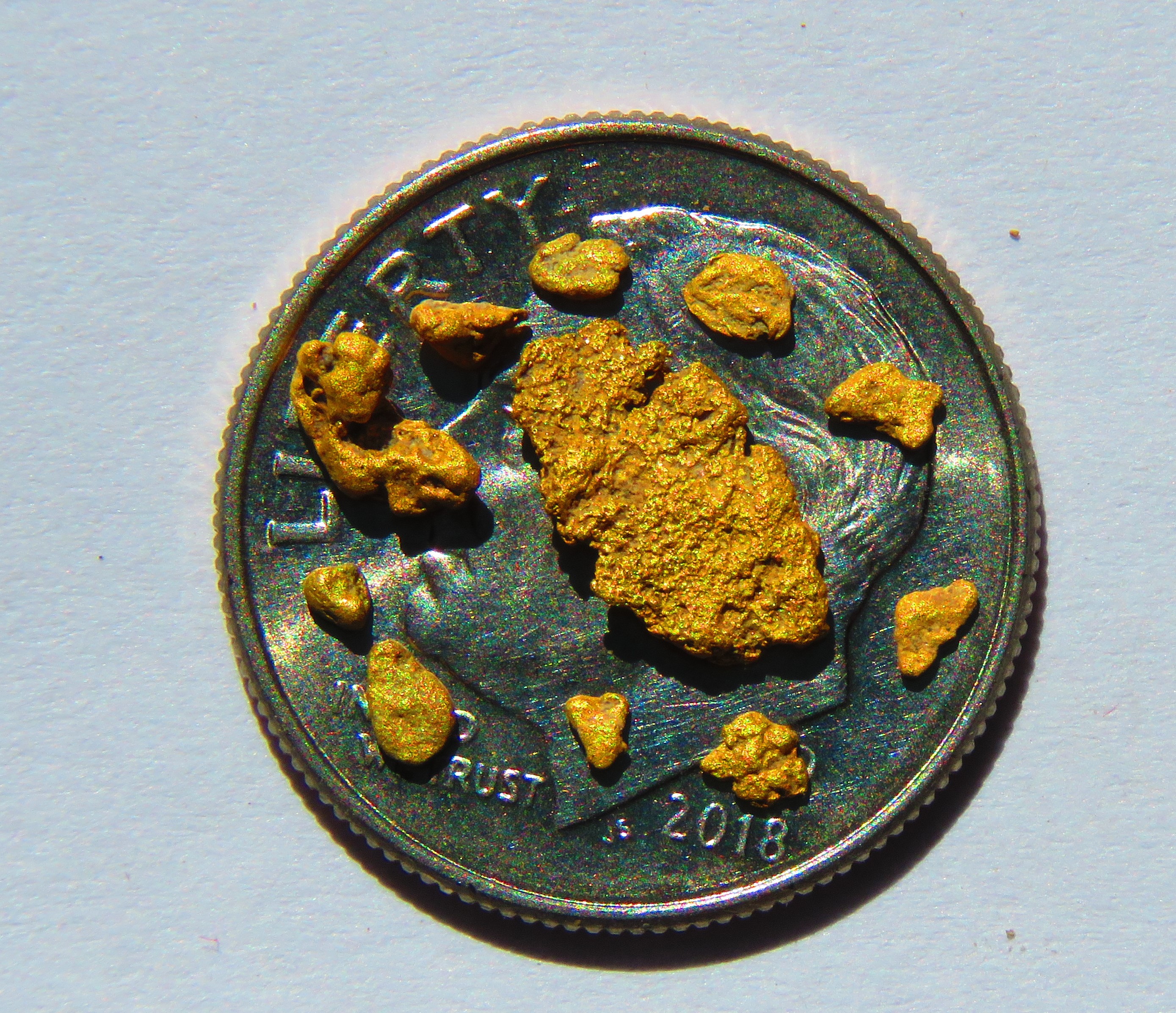 Member content 65 of 206