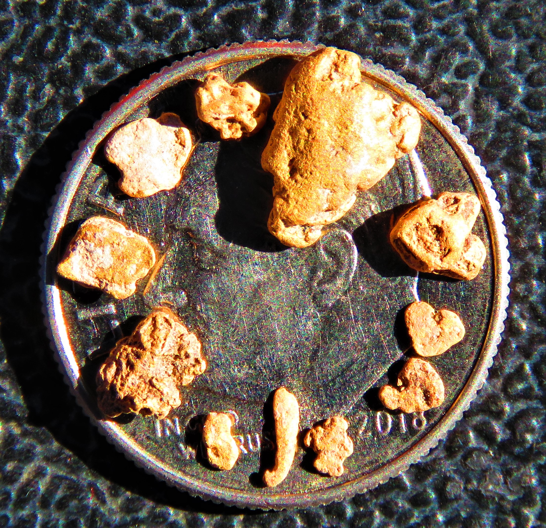 Member content 66 of 206