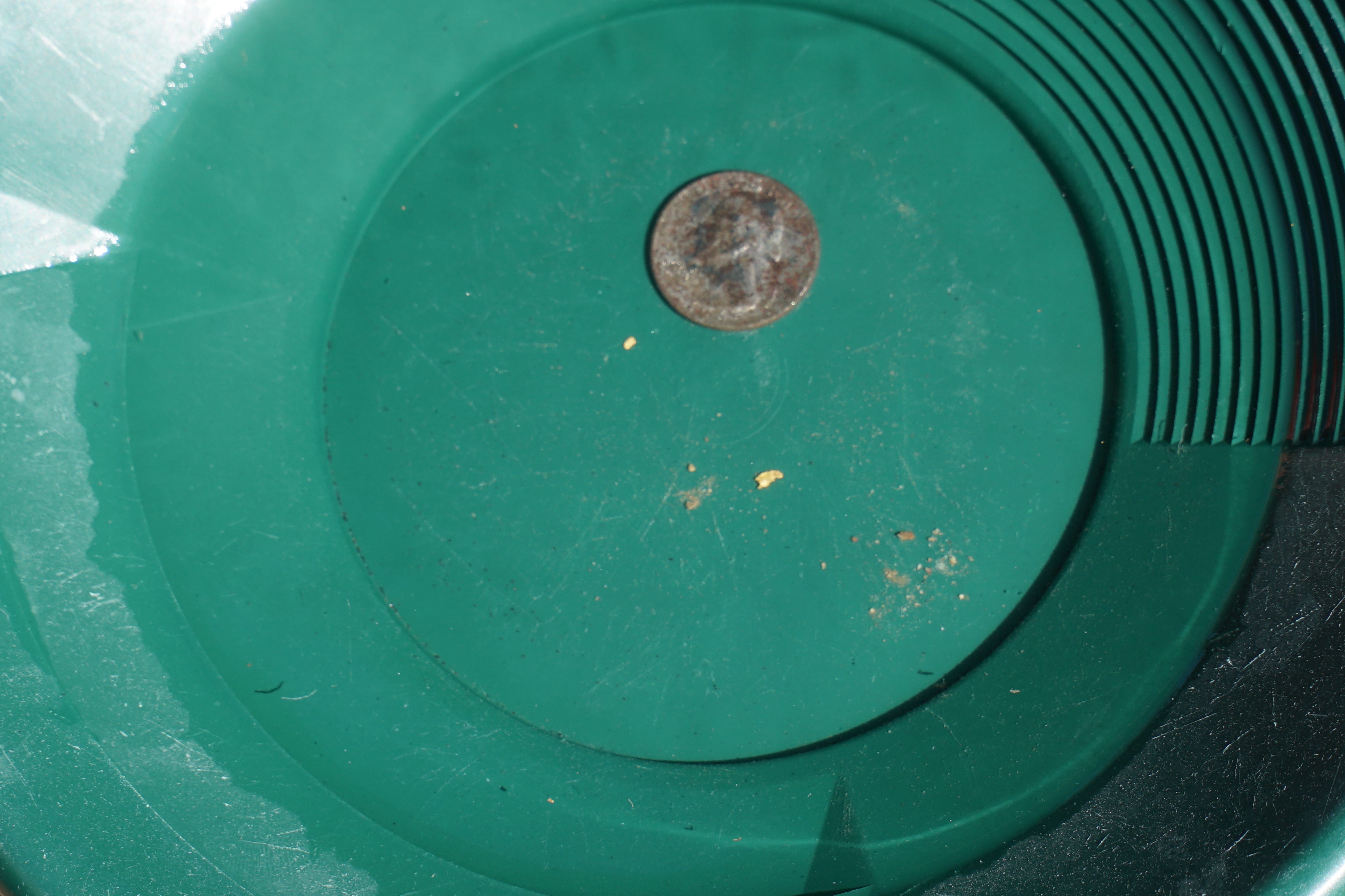 Member content 5 of 206