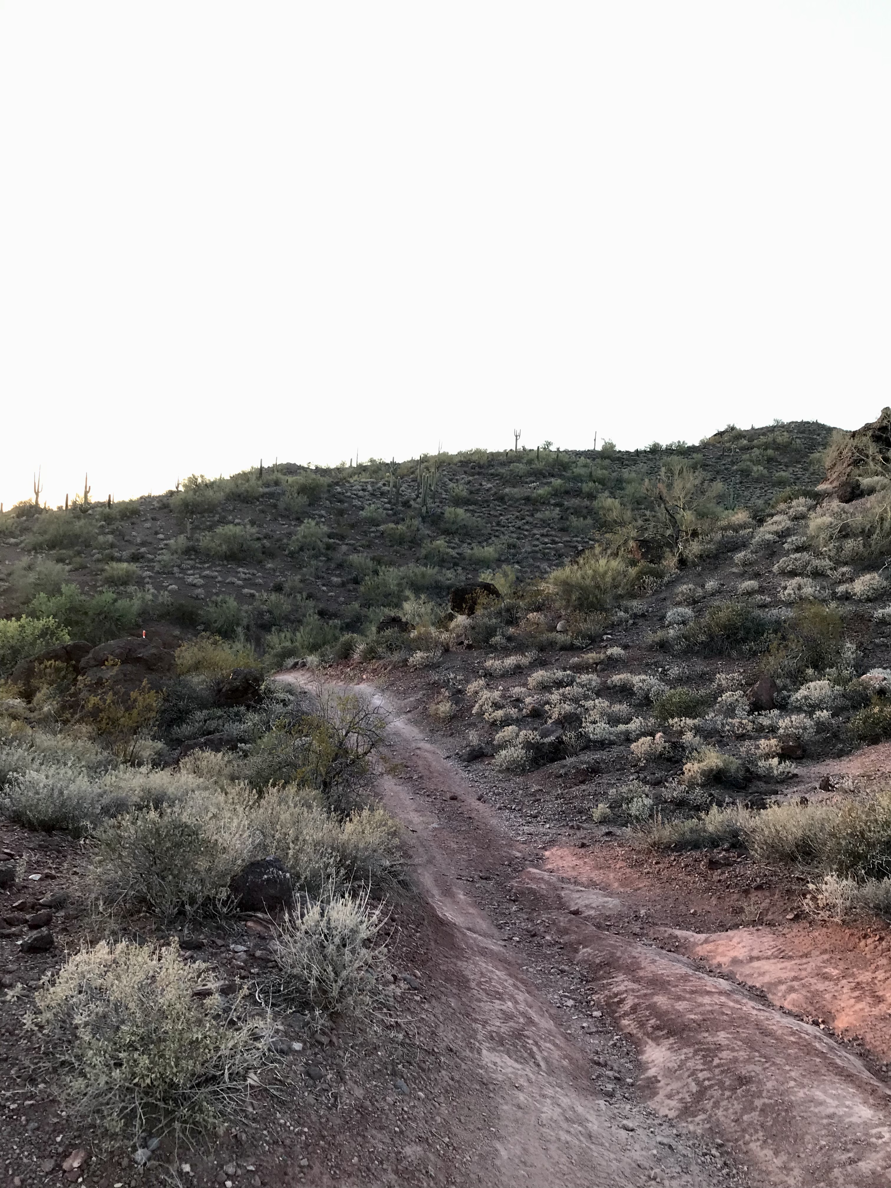 Member content 23 of 41