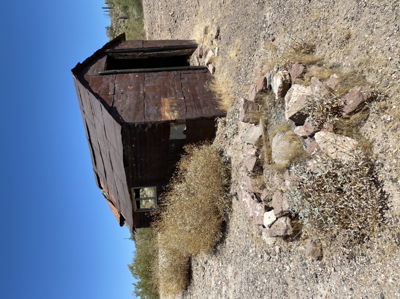 Member content 16 of 41