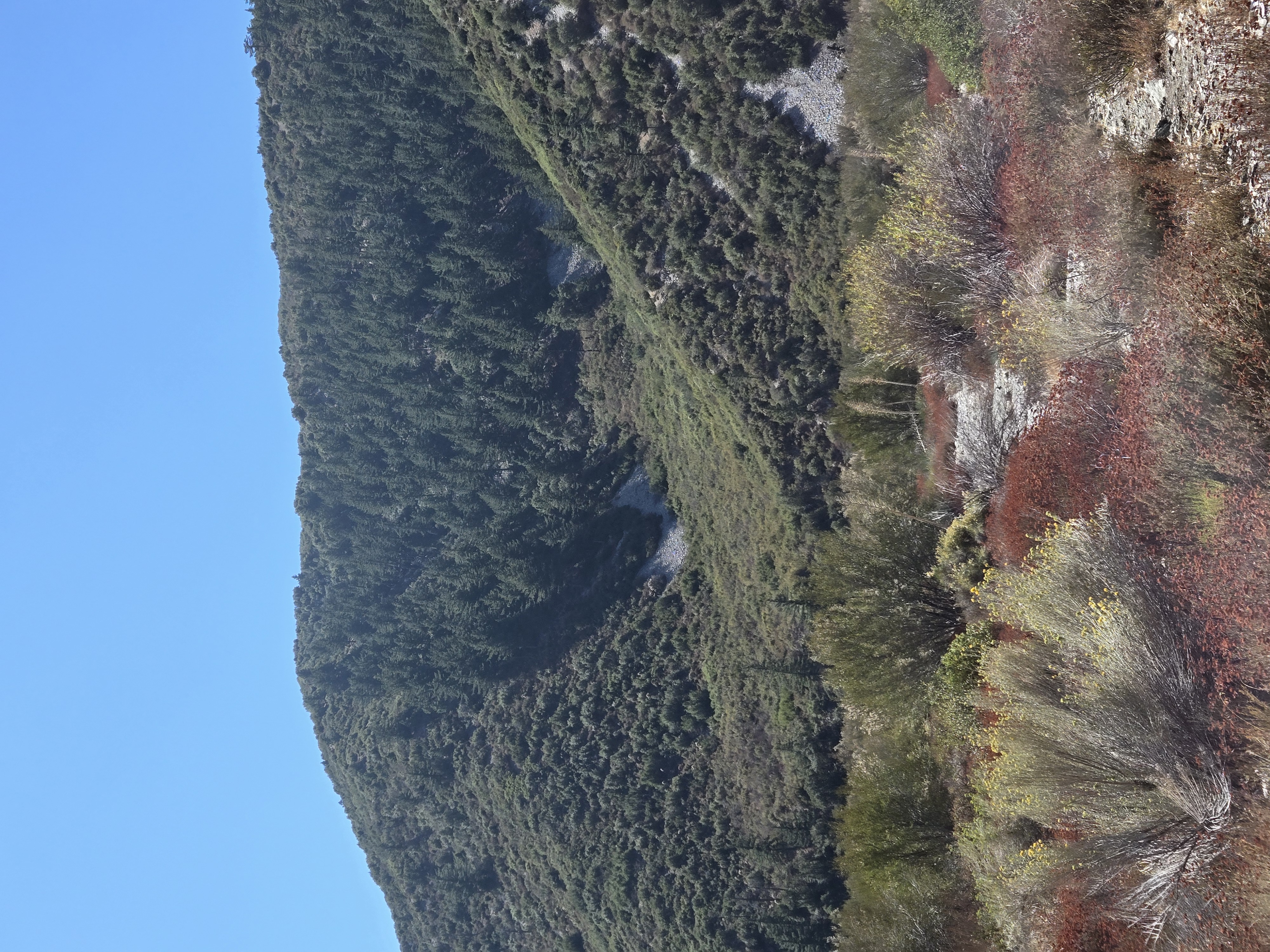 Member content 26 of 33