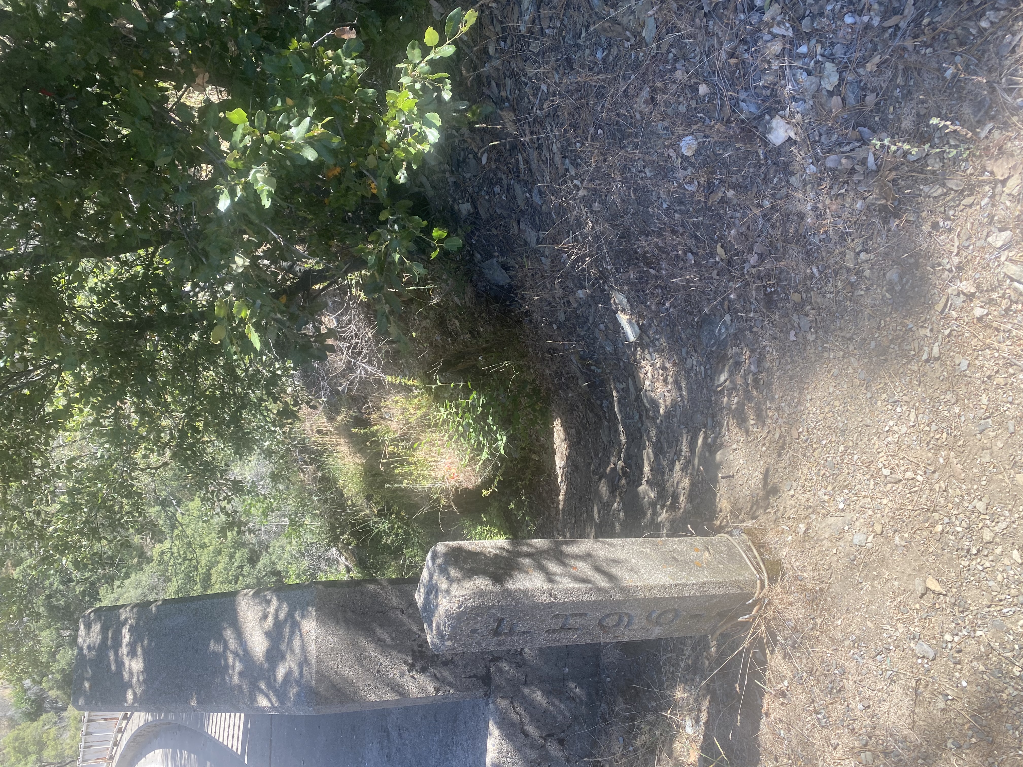 Member content 21 of 38