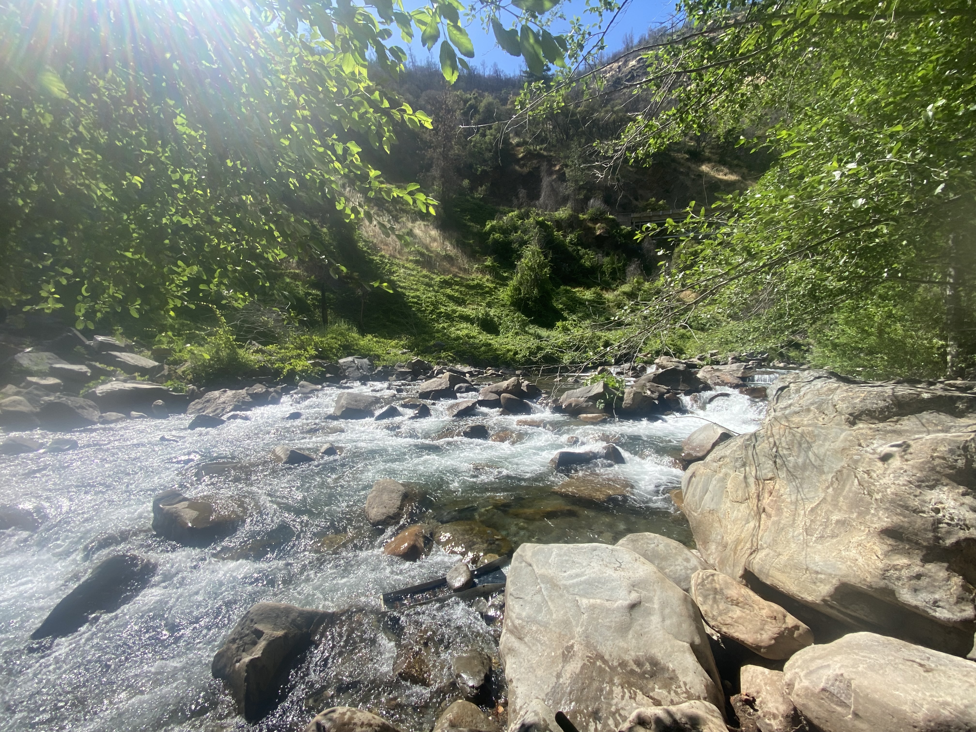 Member content 24 of 38