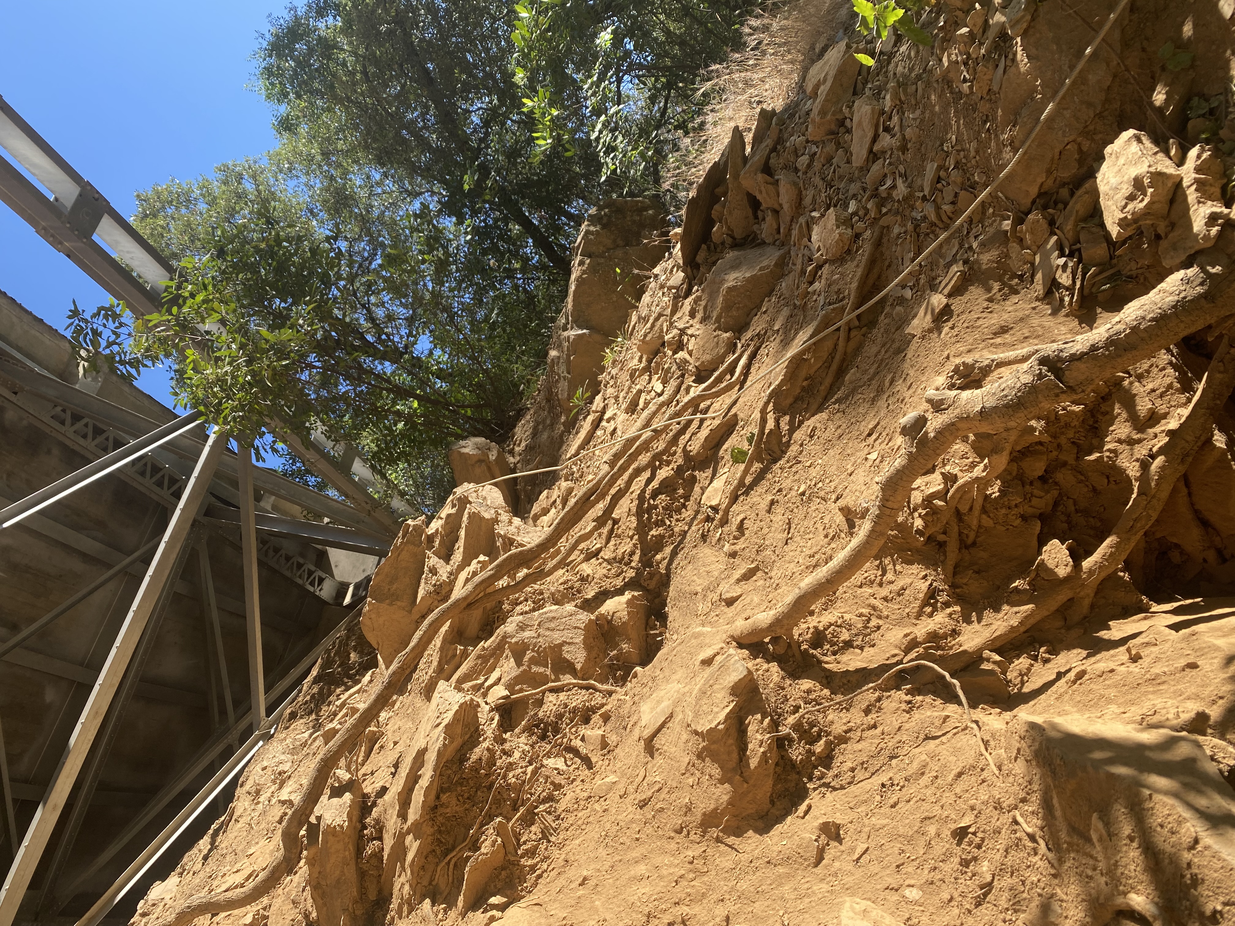 Member content 27 of 38