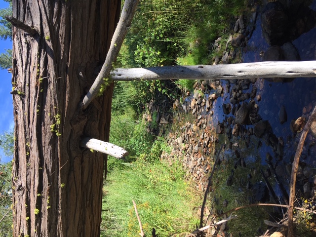 Member content 1 of 5