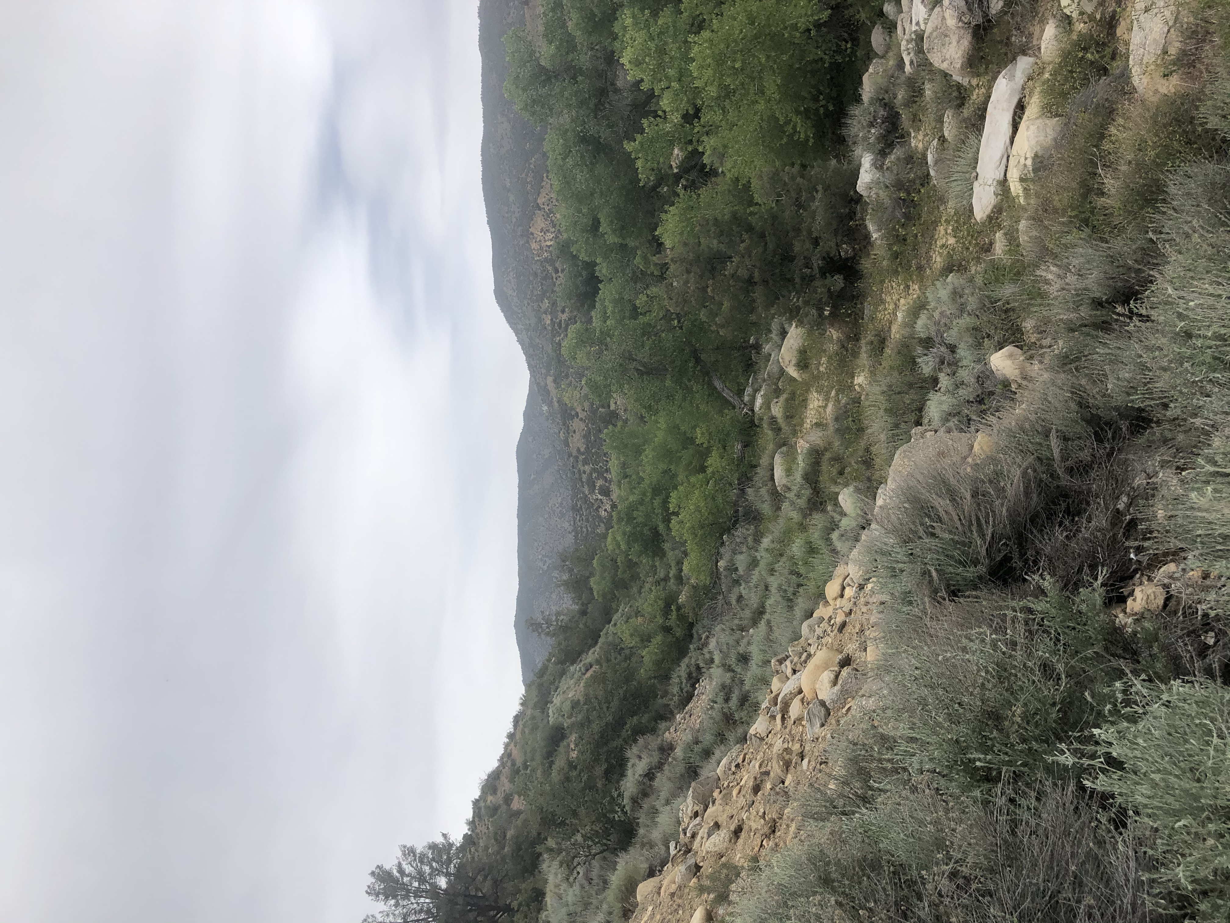 Member content 3 of 27