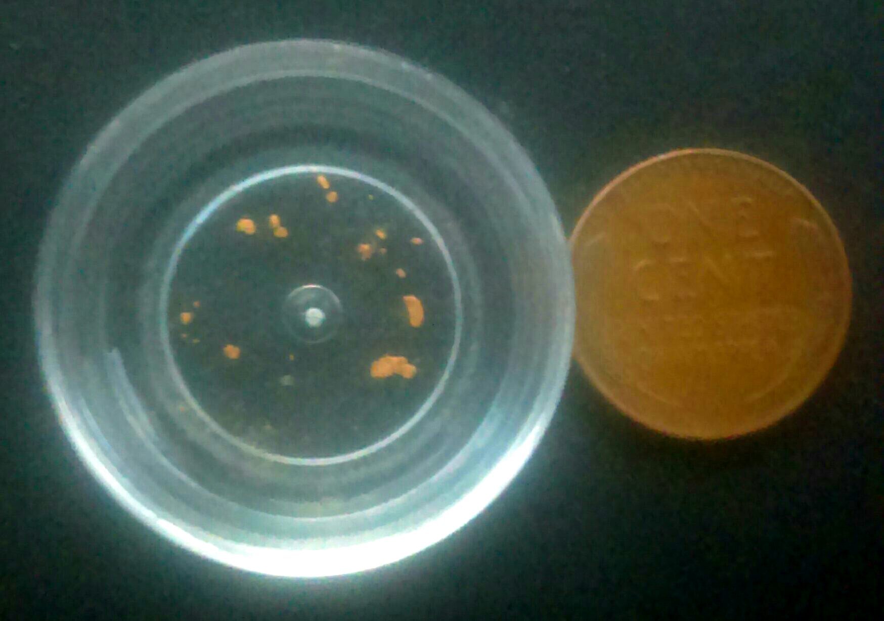 Member content 1 of 8