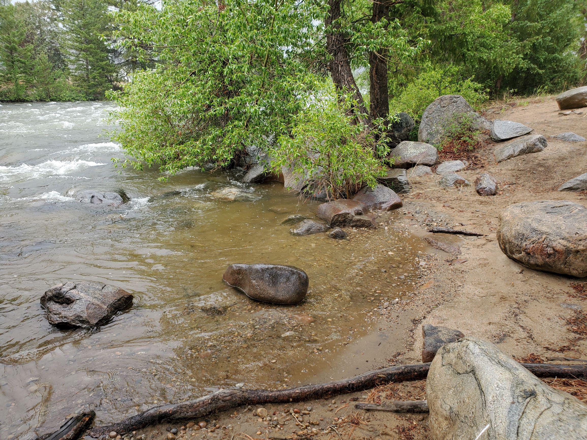 Member content 17 of 42