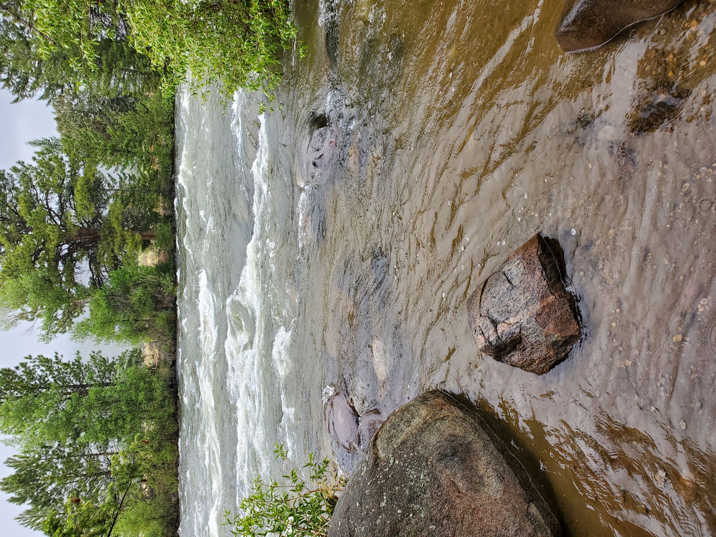 Member content 18 of 42