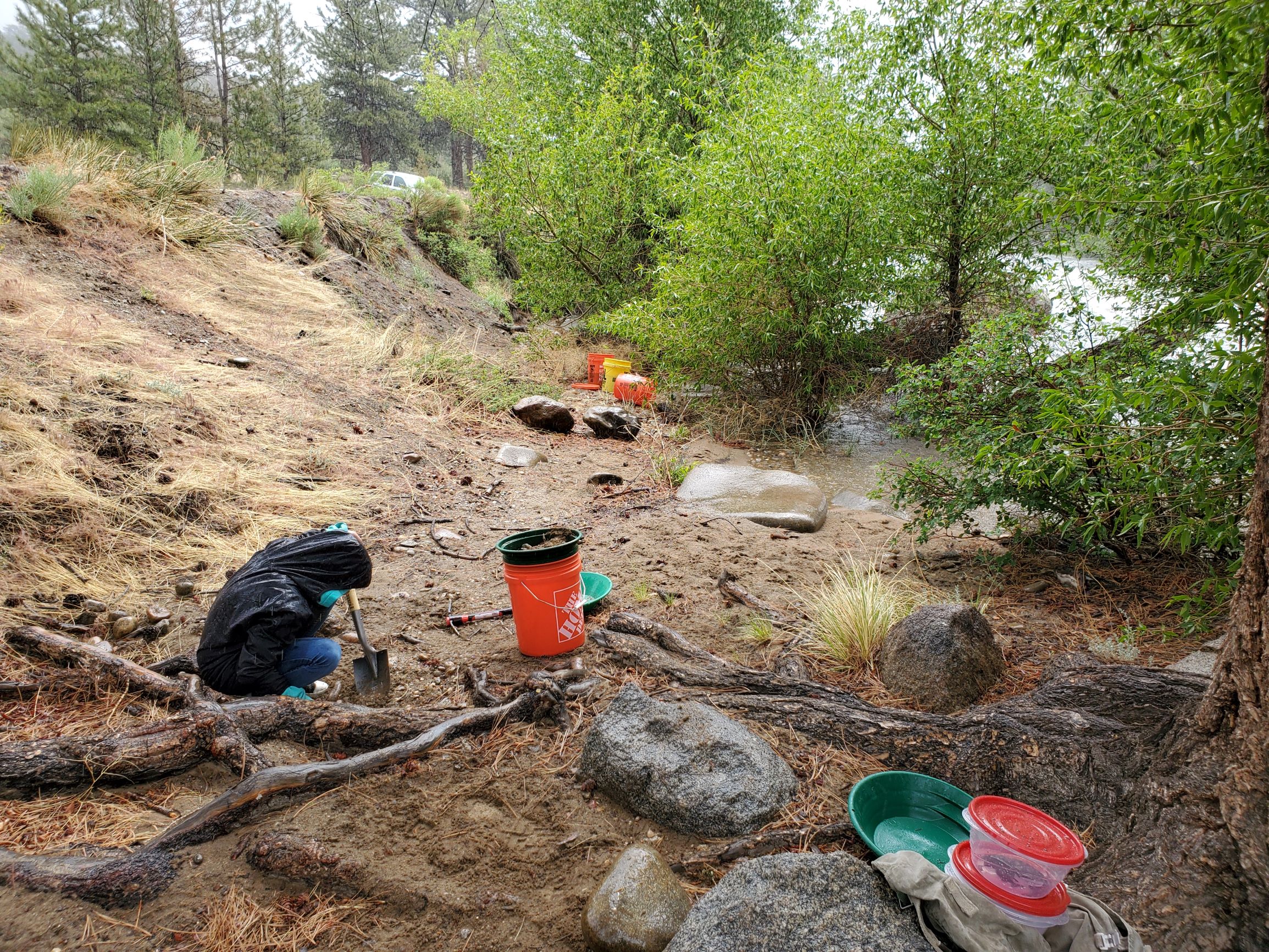 Member content 19 of 42