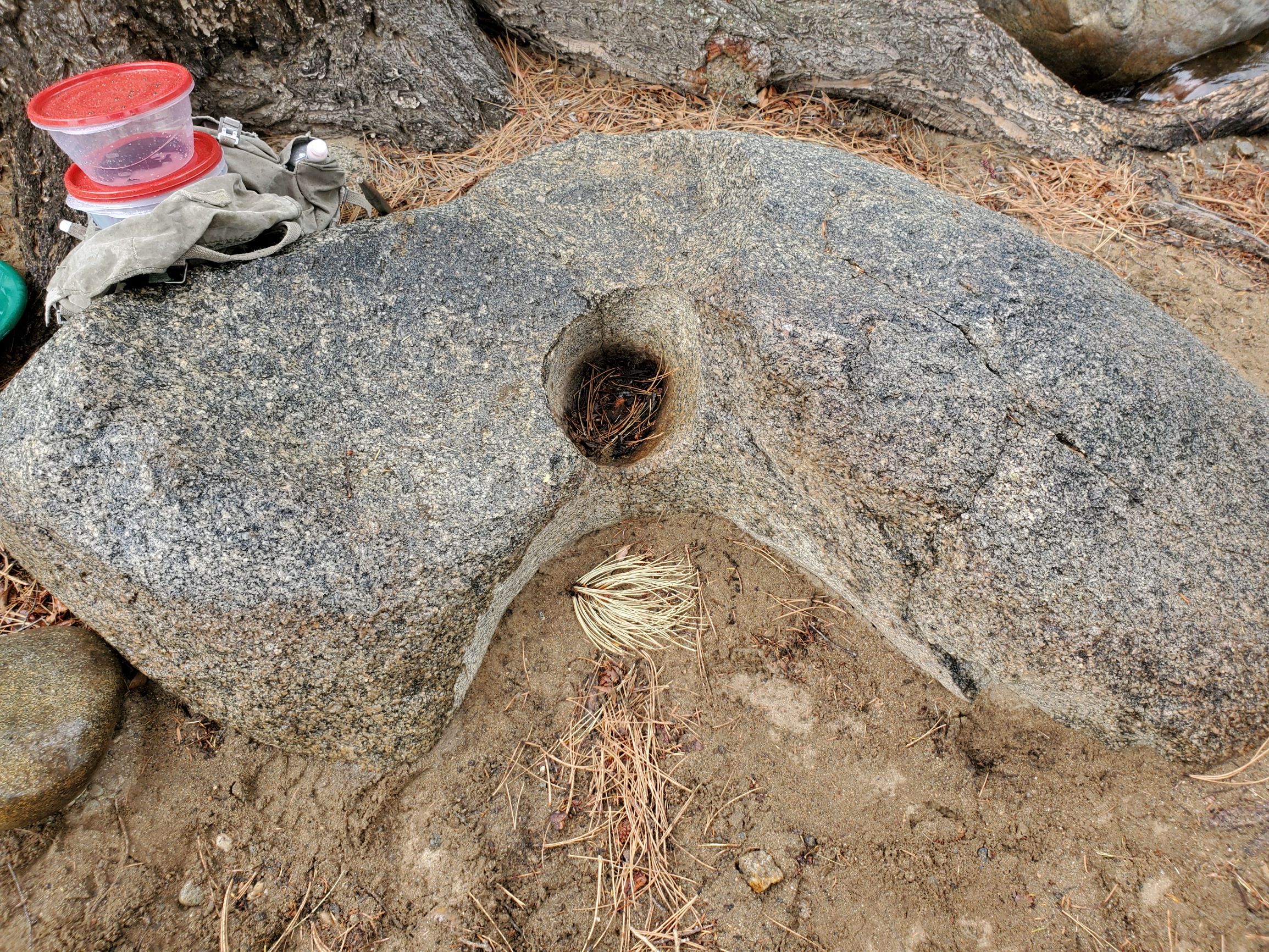 Member content 20 of 42