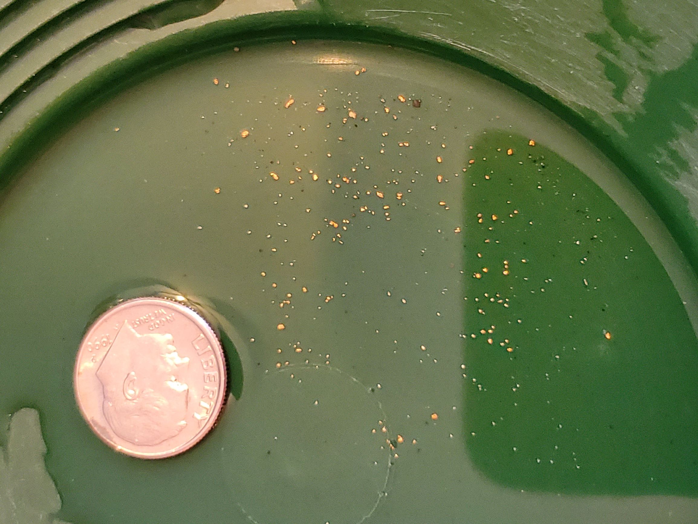 Member content 21 of 42