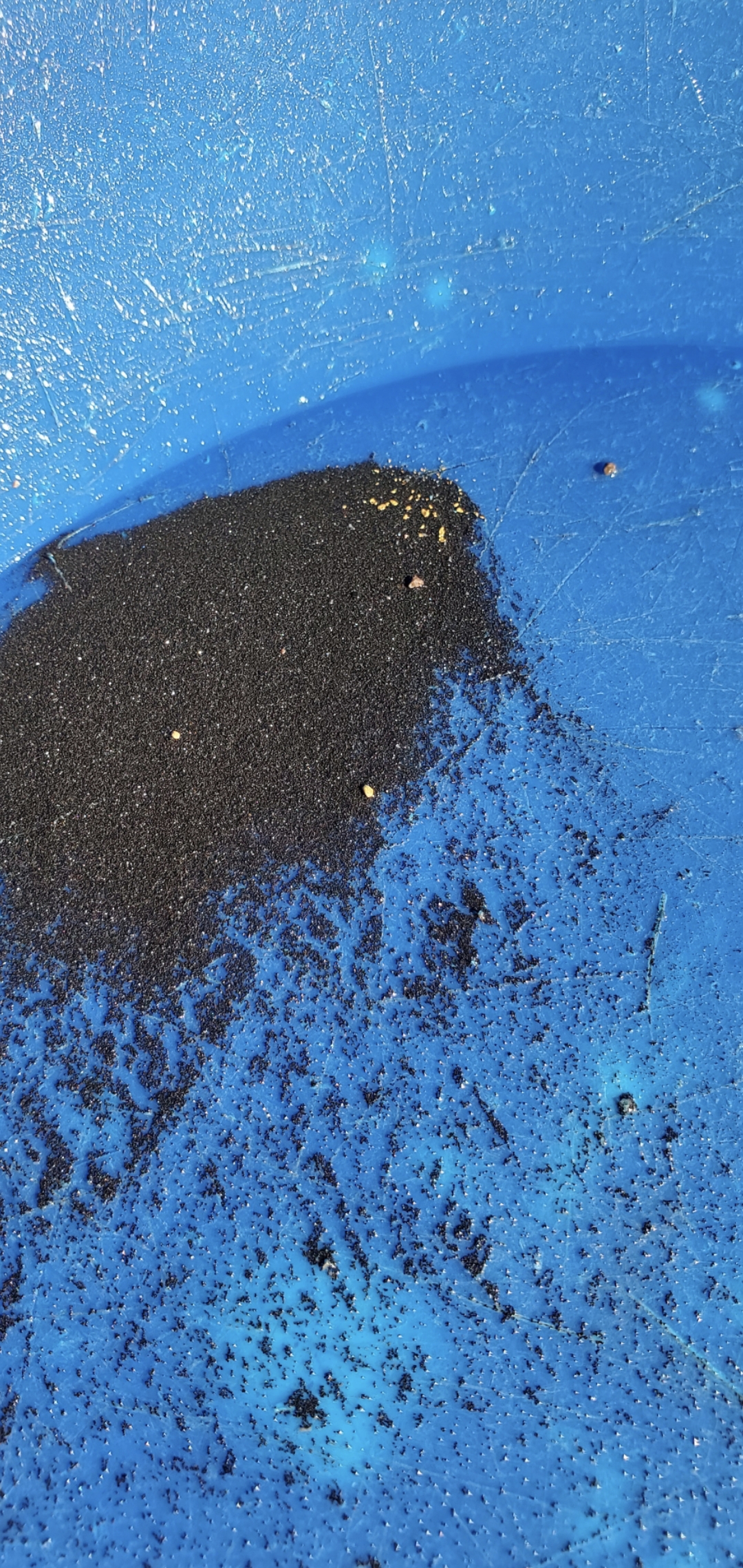 Member content 8 of 29