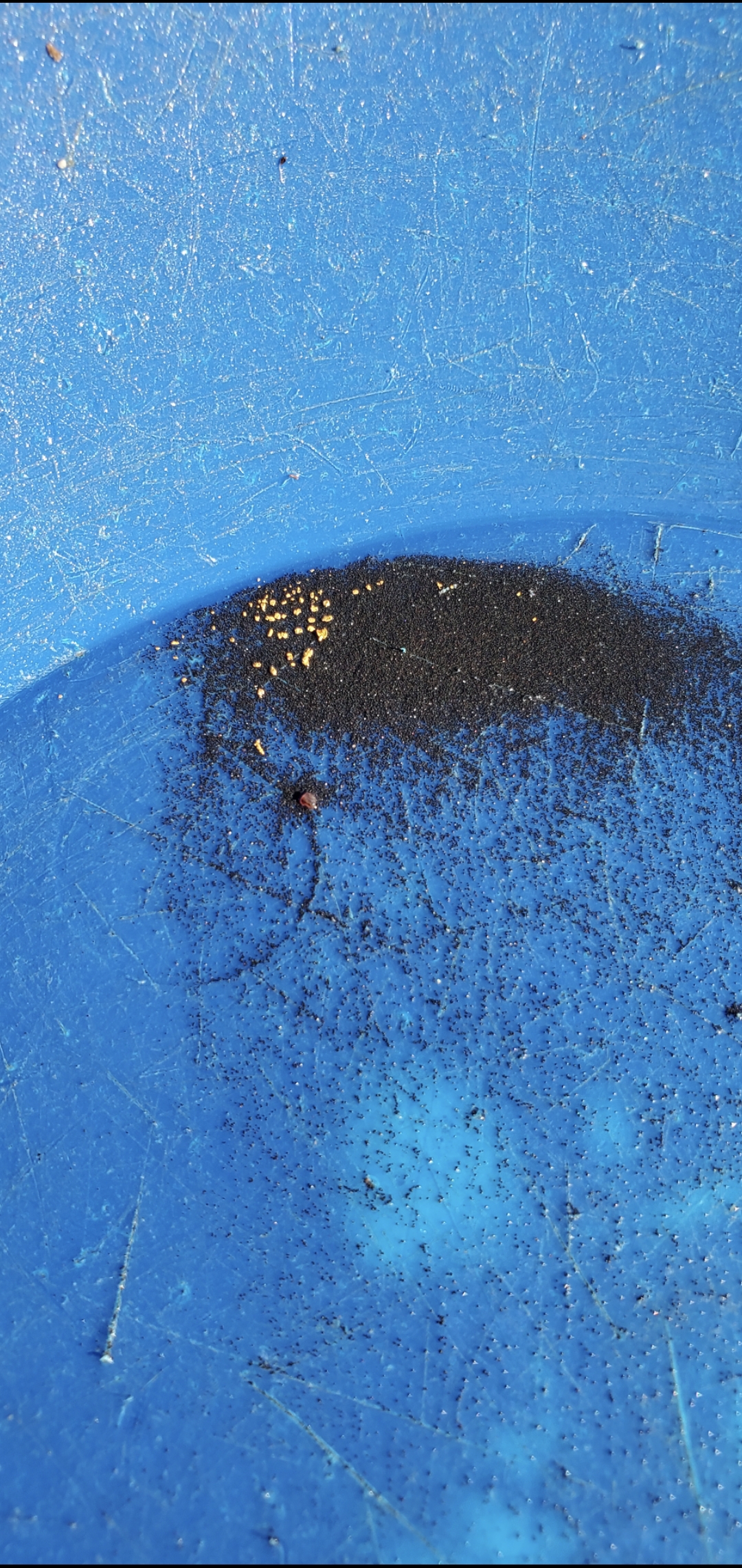 Member content 9 of 29