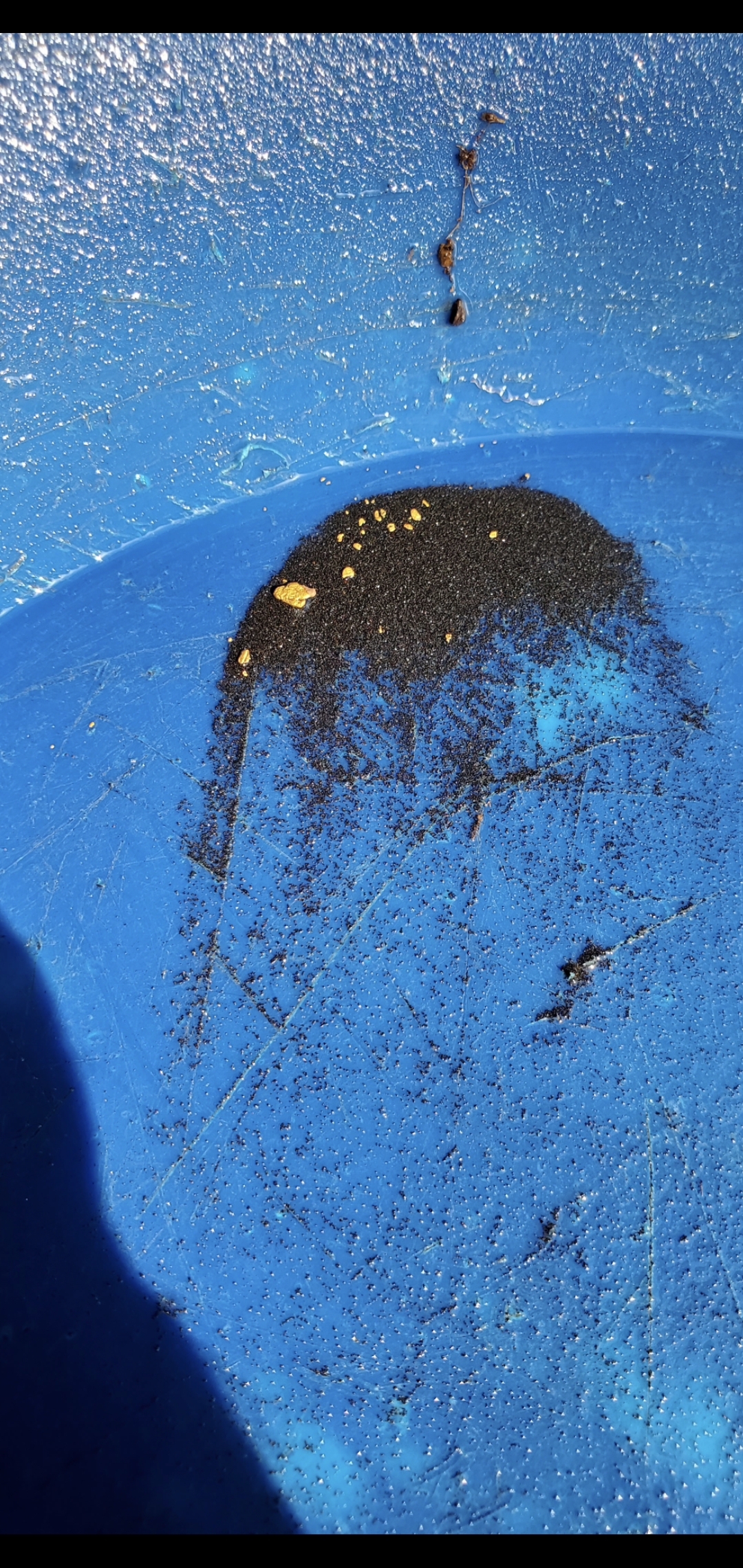 Member content 10 of 29