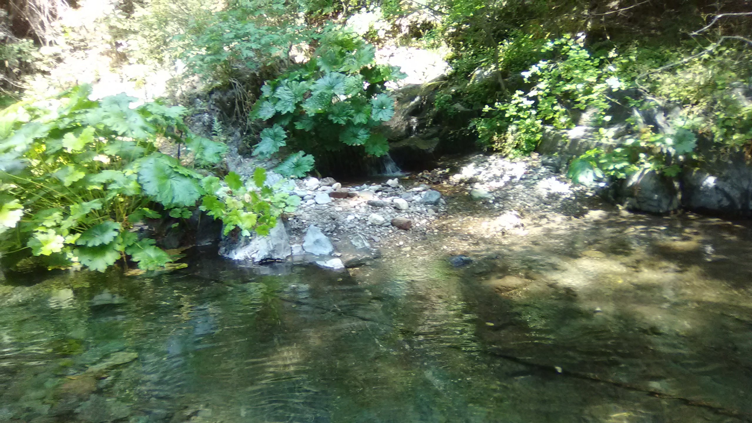 Member content 1 of 12