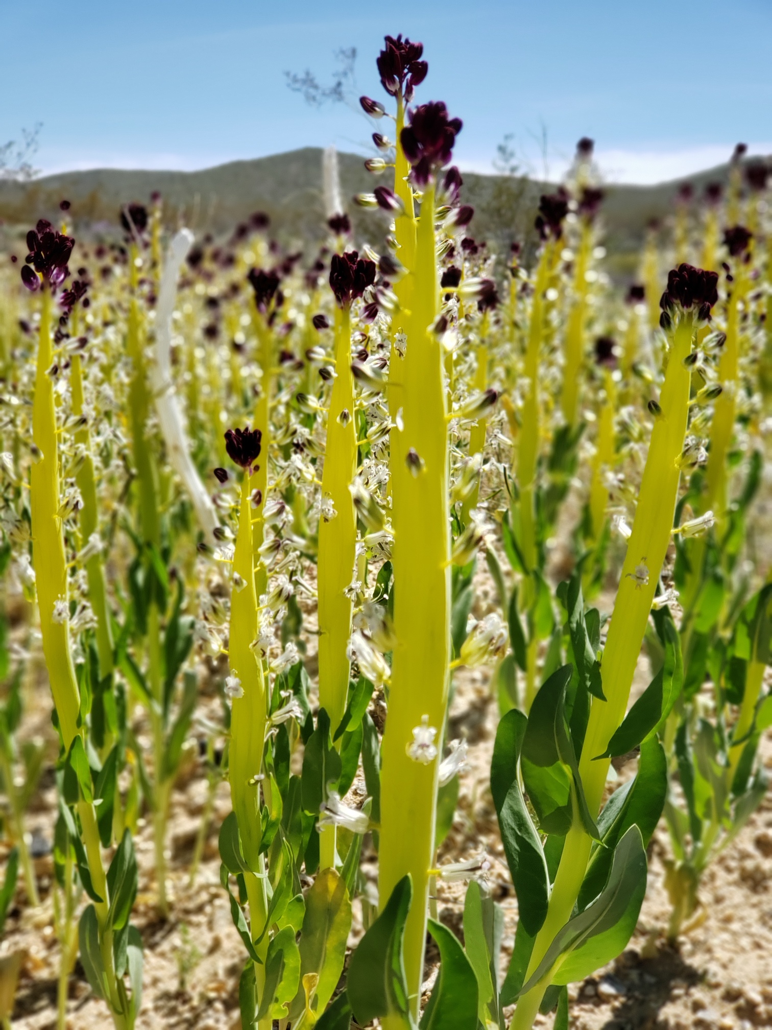 Member content 10 of 206