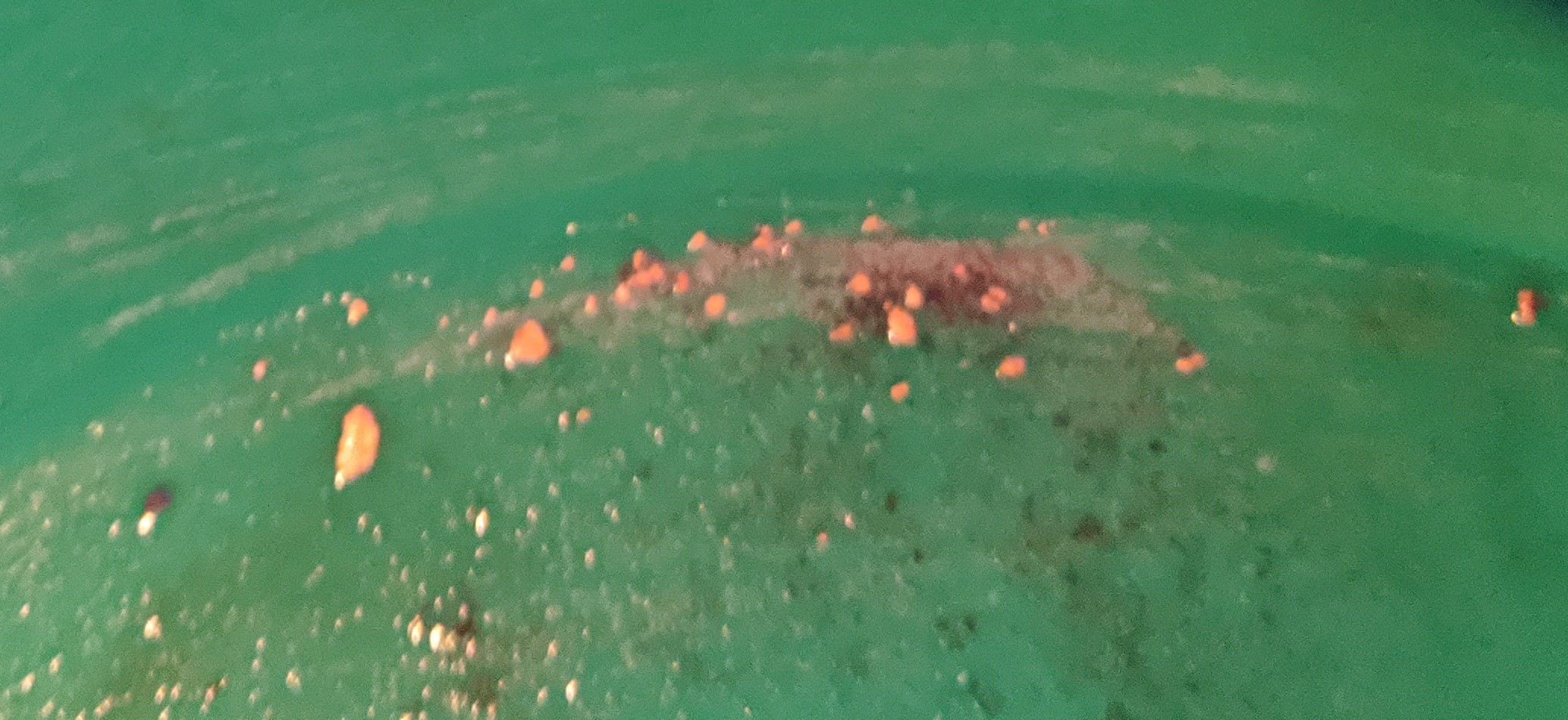 Member content 4 of 8