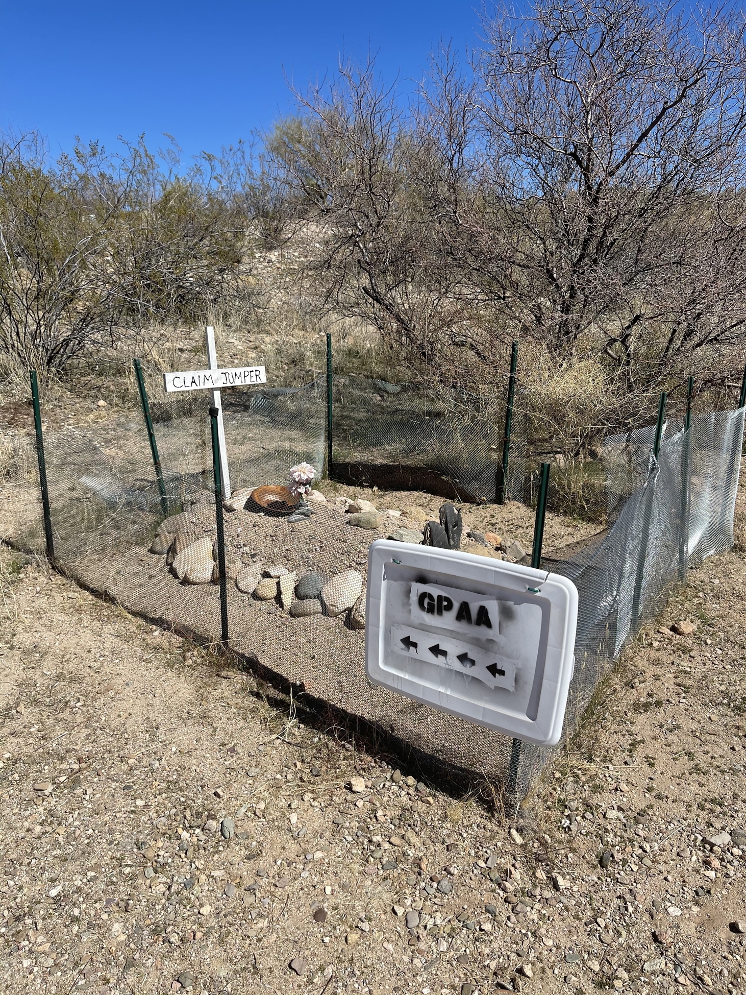 Member content 3 of 6