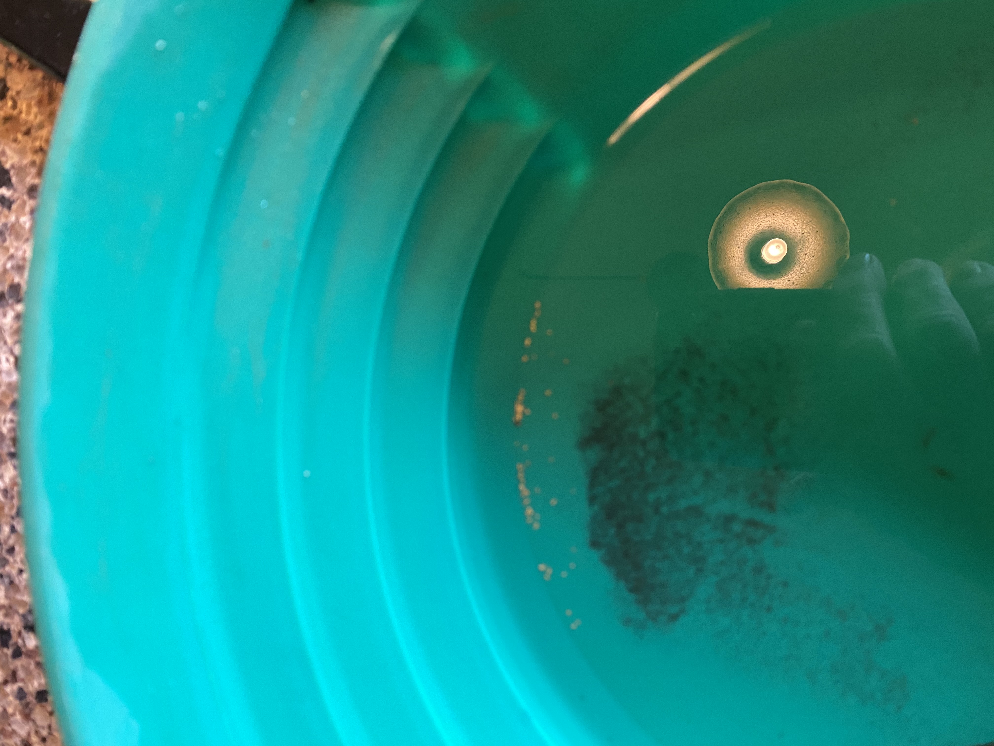 Member content 6 of 12