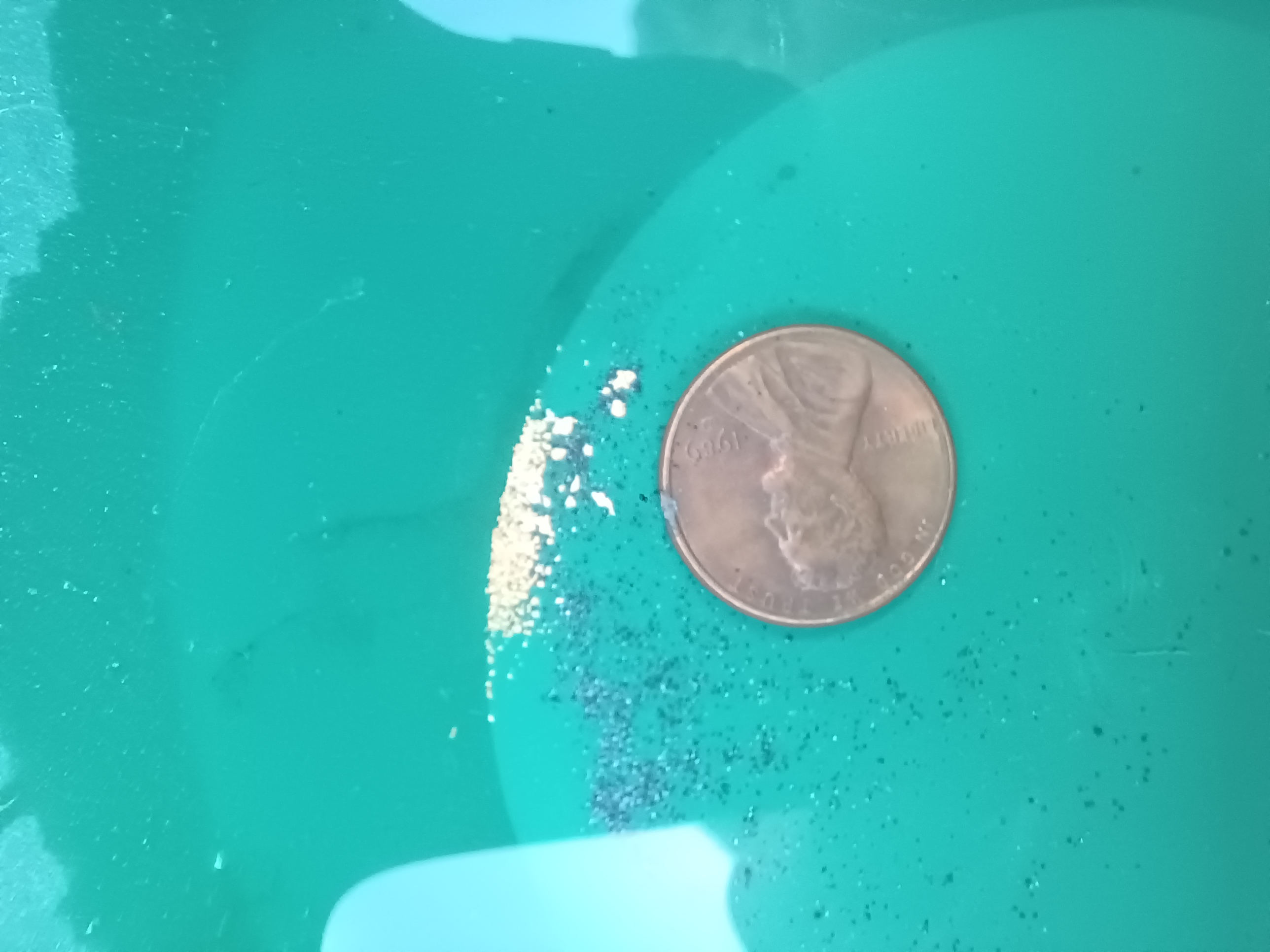 Member content 11 of 21