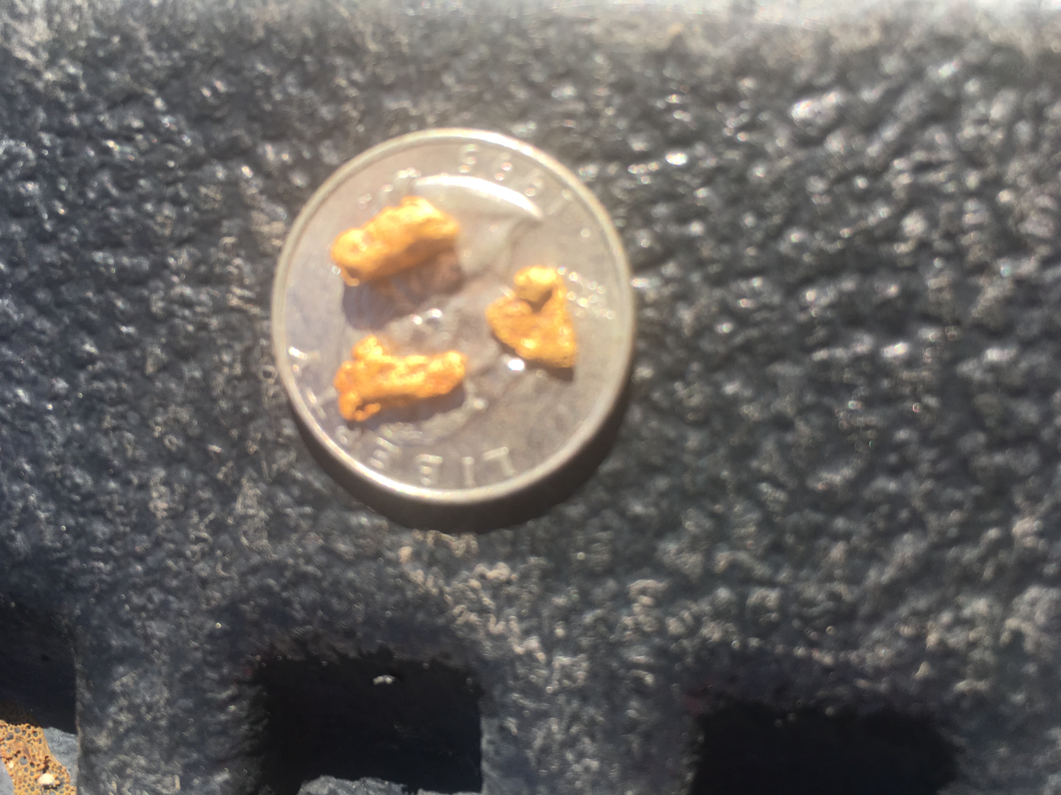 Member content 10 of 41