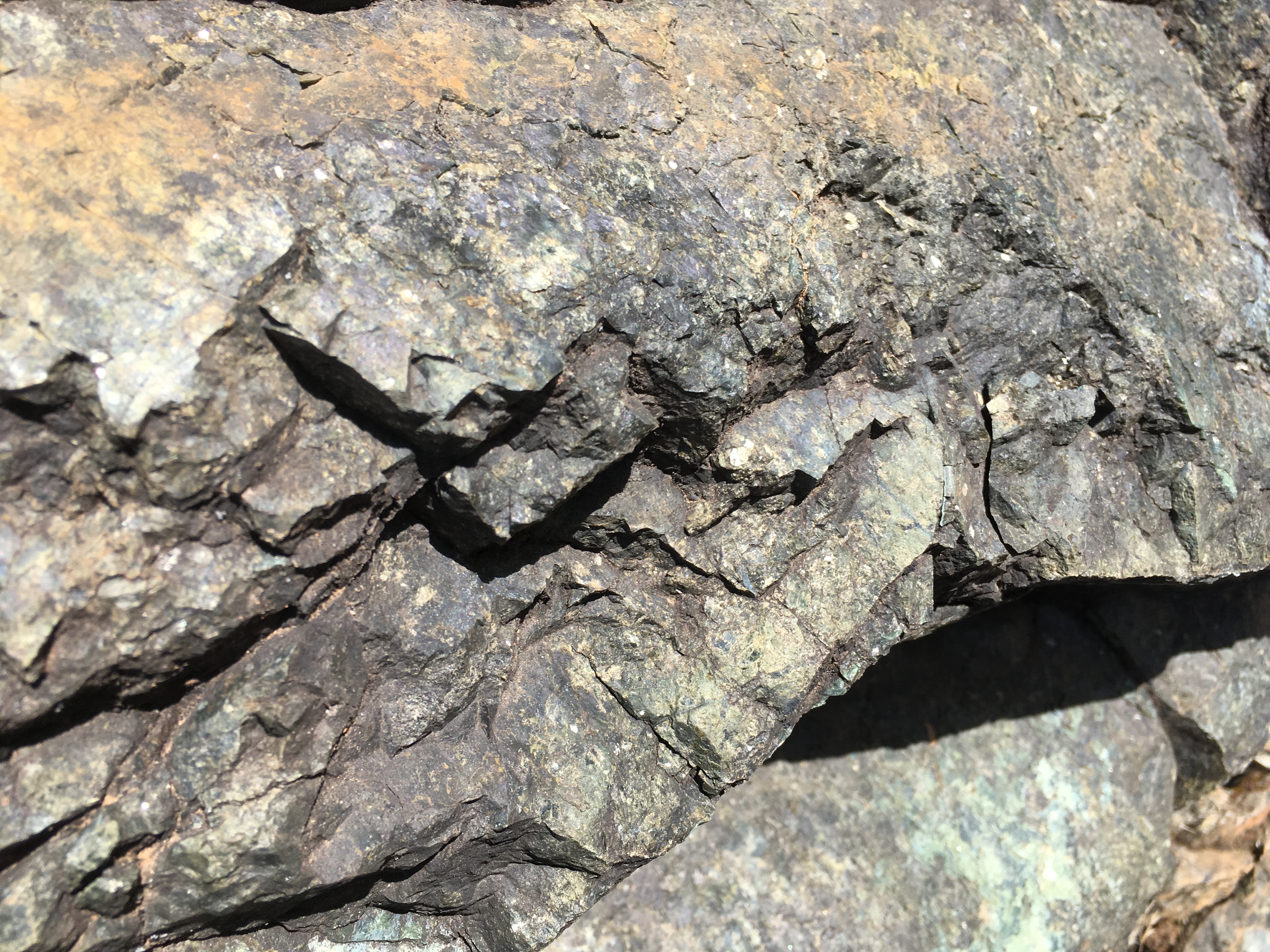 Member content 1 of 11