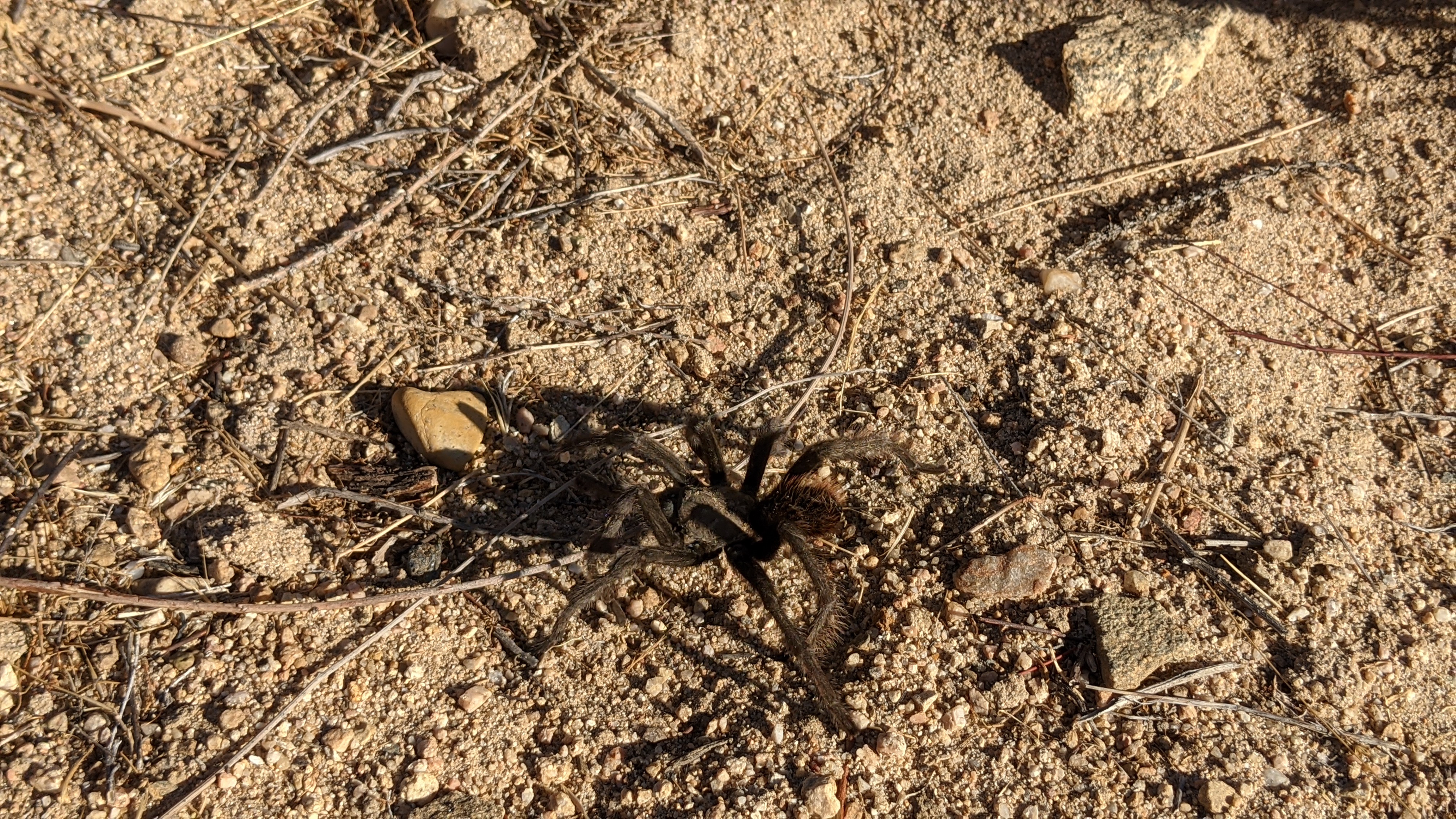 Member content 23 of 97