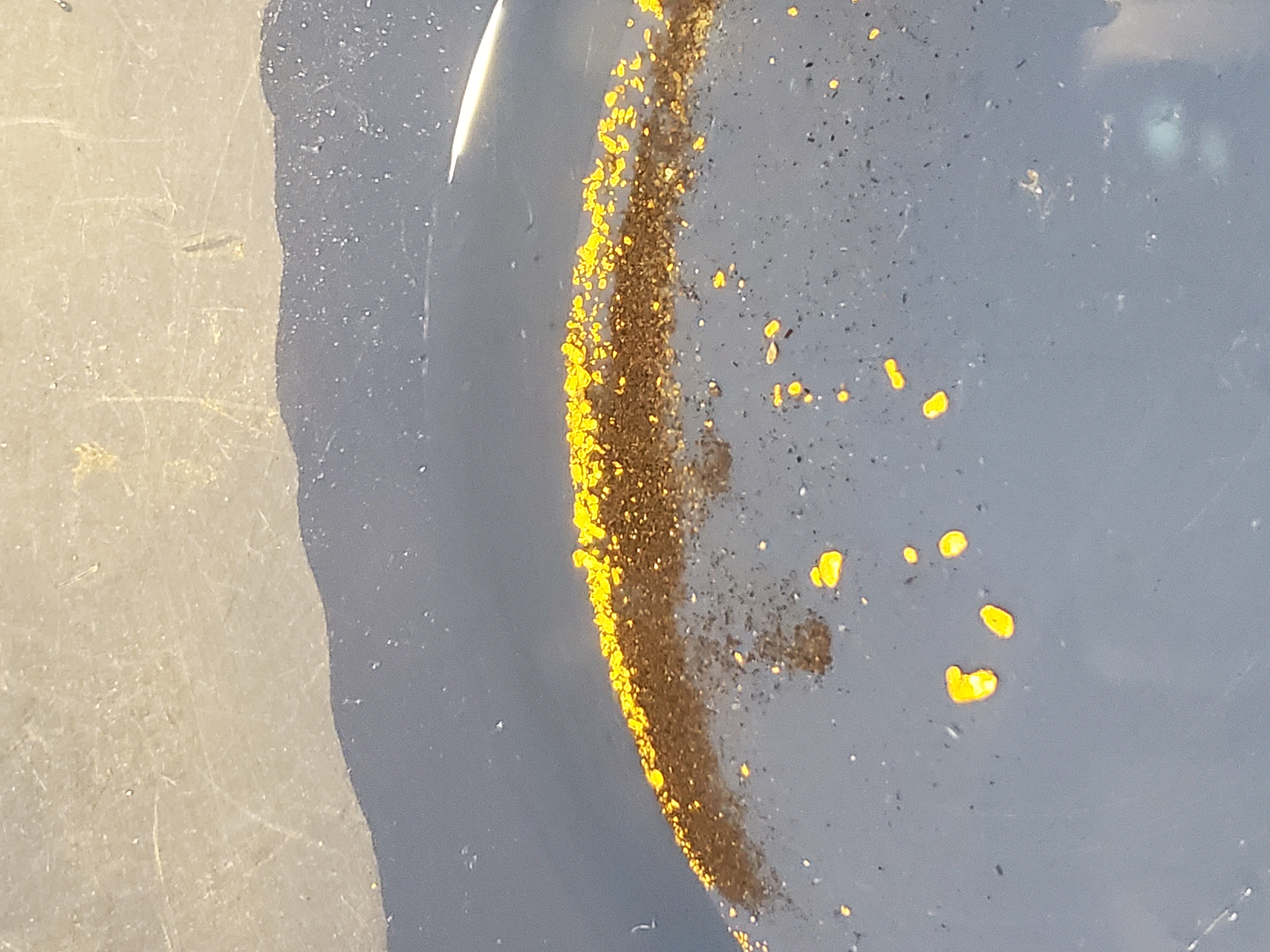 Member content 18 of 38