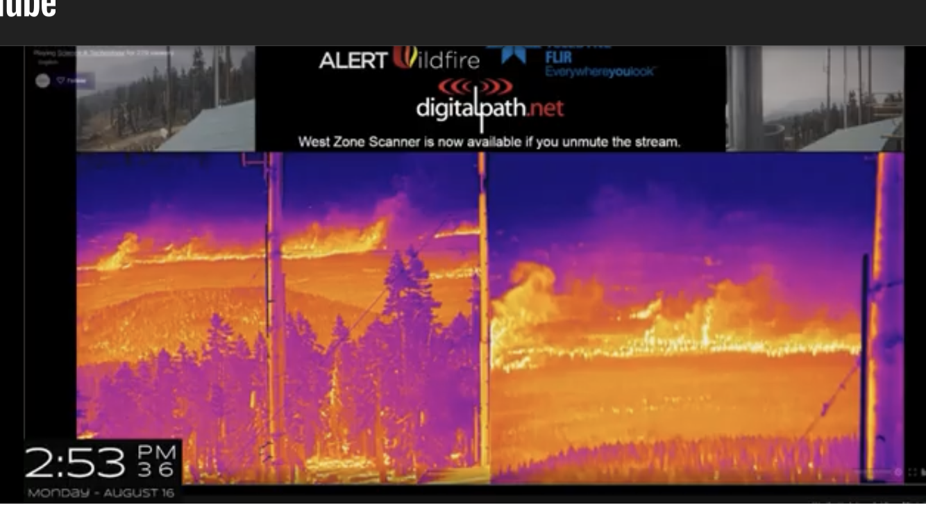 Member content 13 of 23