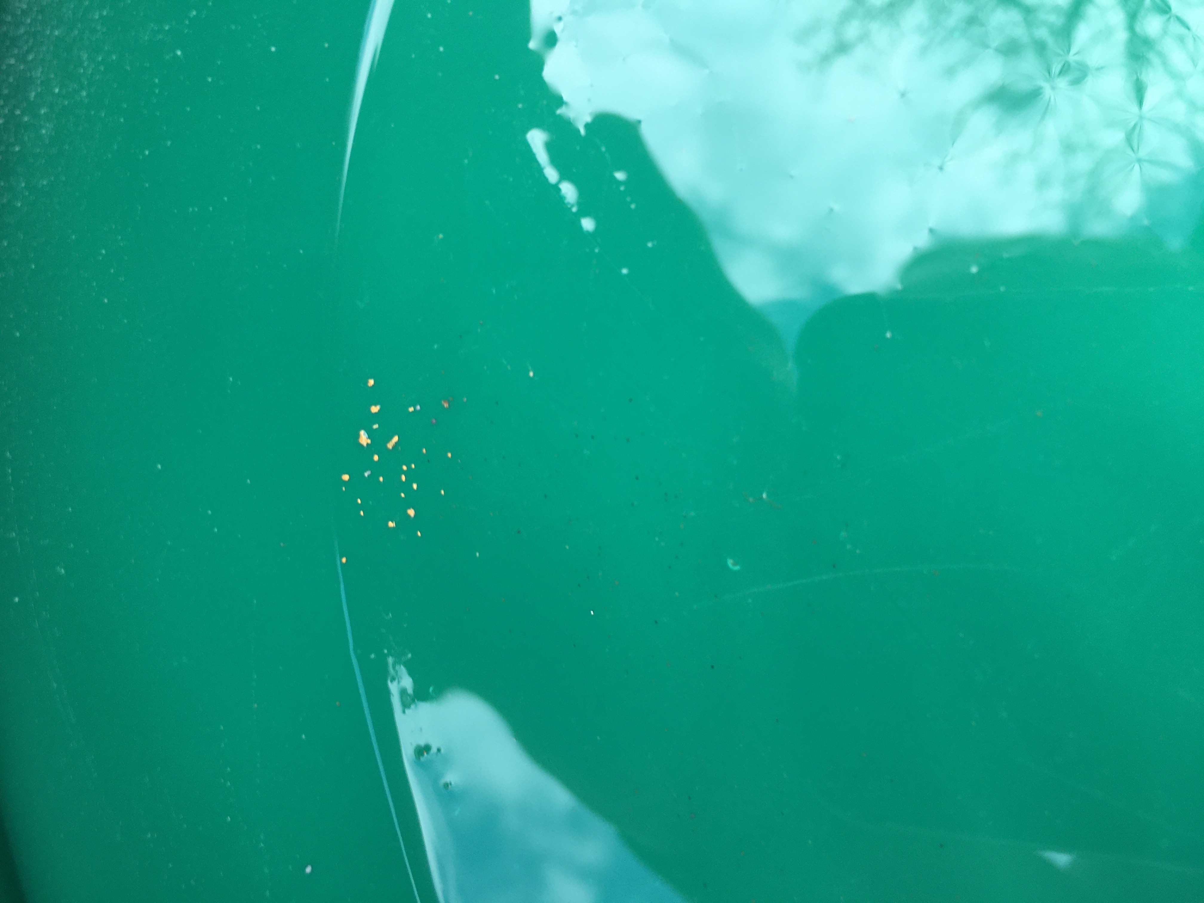 Member content 5 of 11