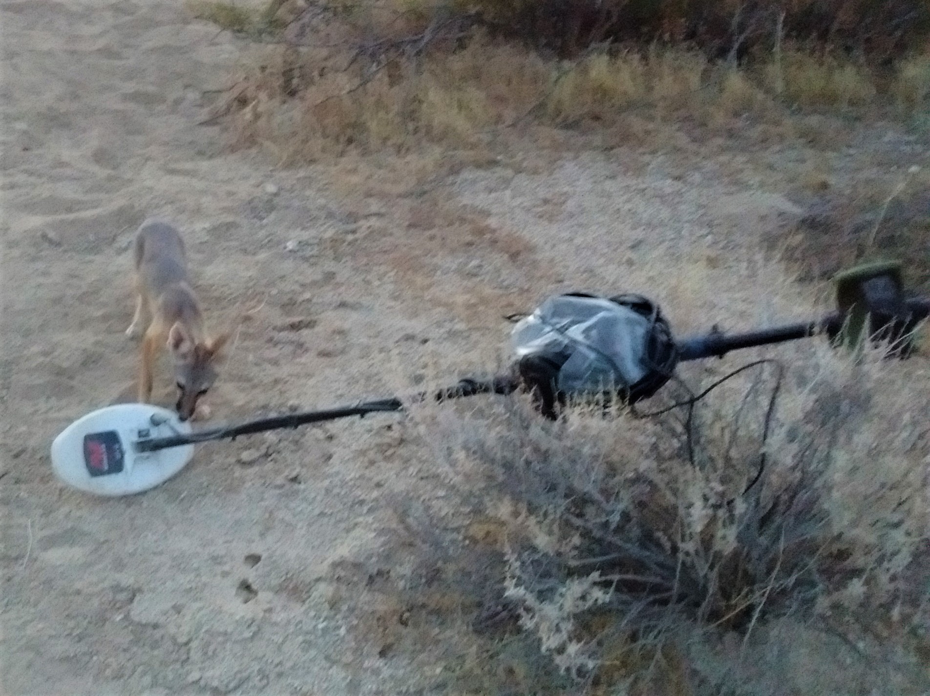 Member content 72 of 206