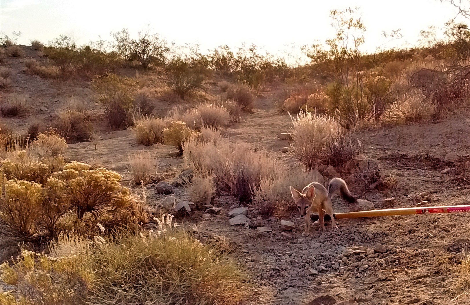 Member content 73 of 206