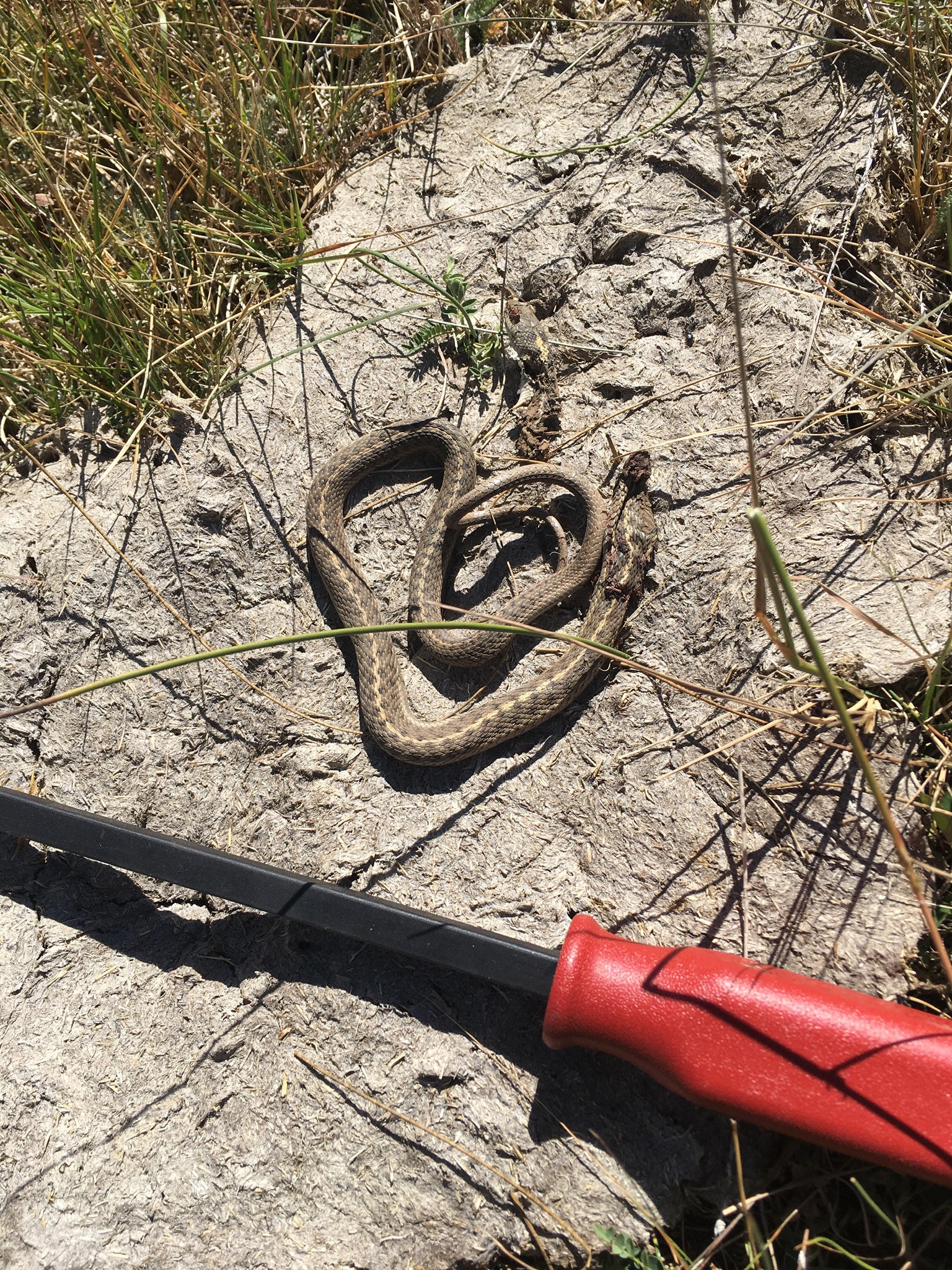 Member content 3 of 12