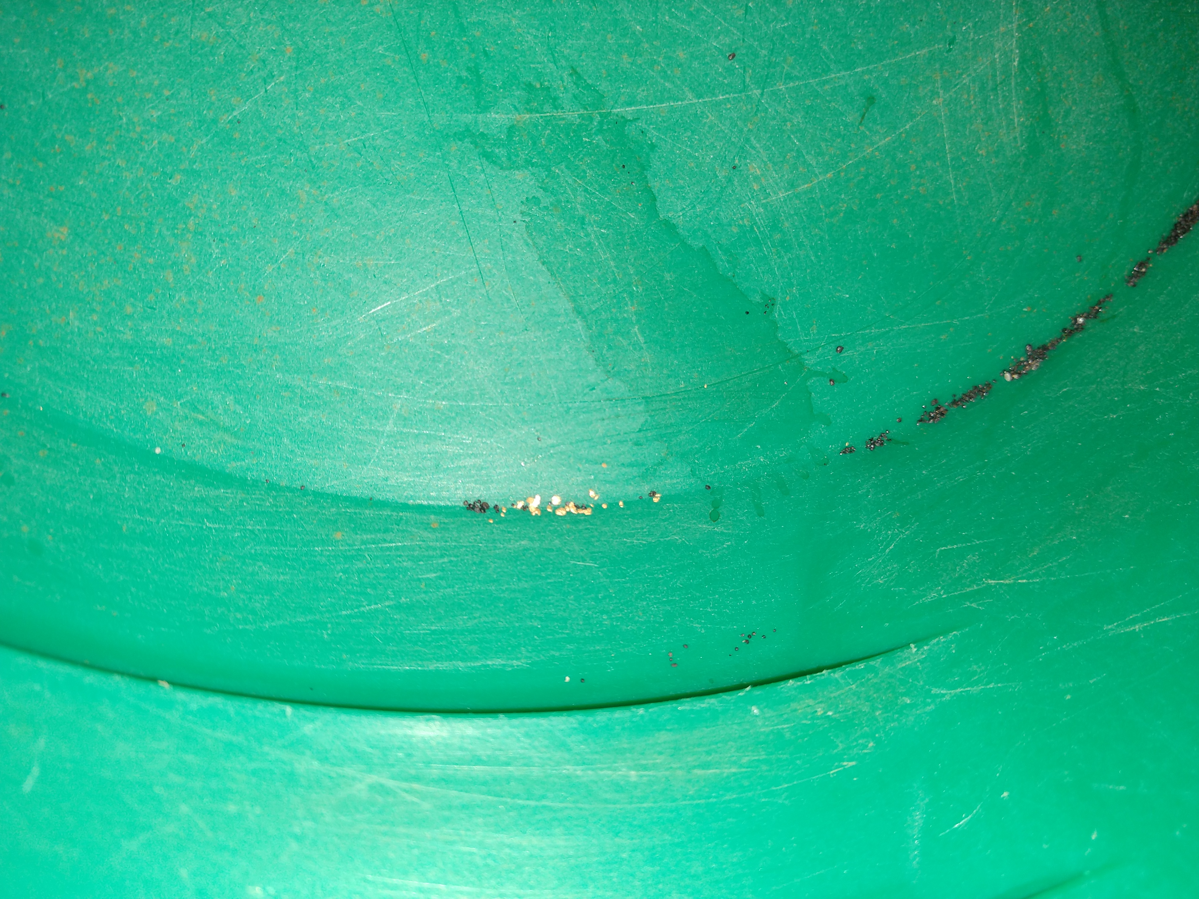 Member content 3 of 13