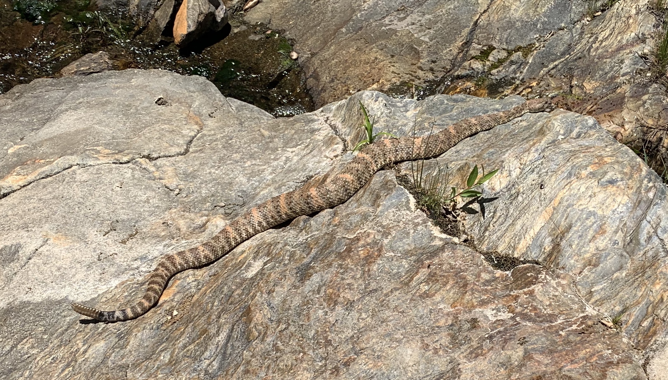 Member content 3 of 10