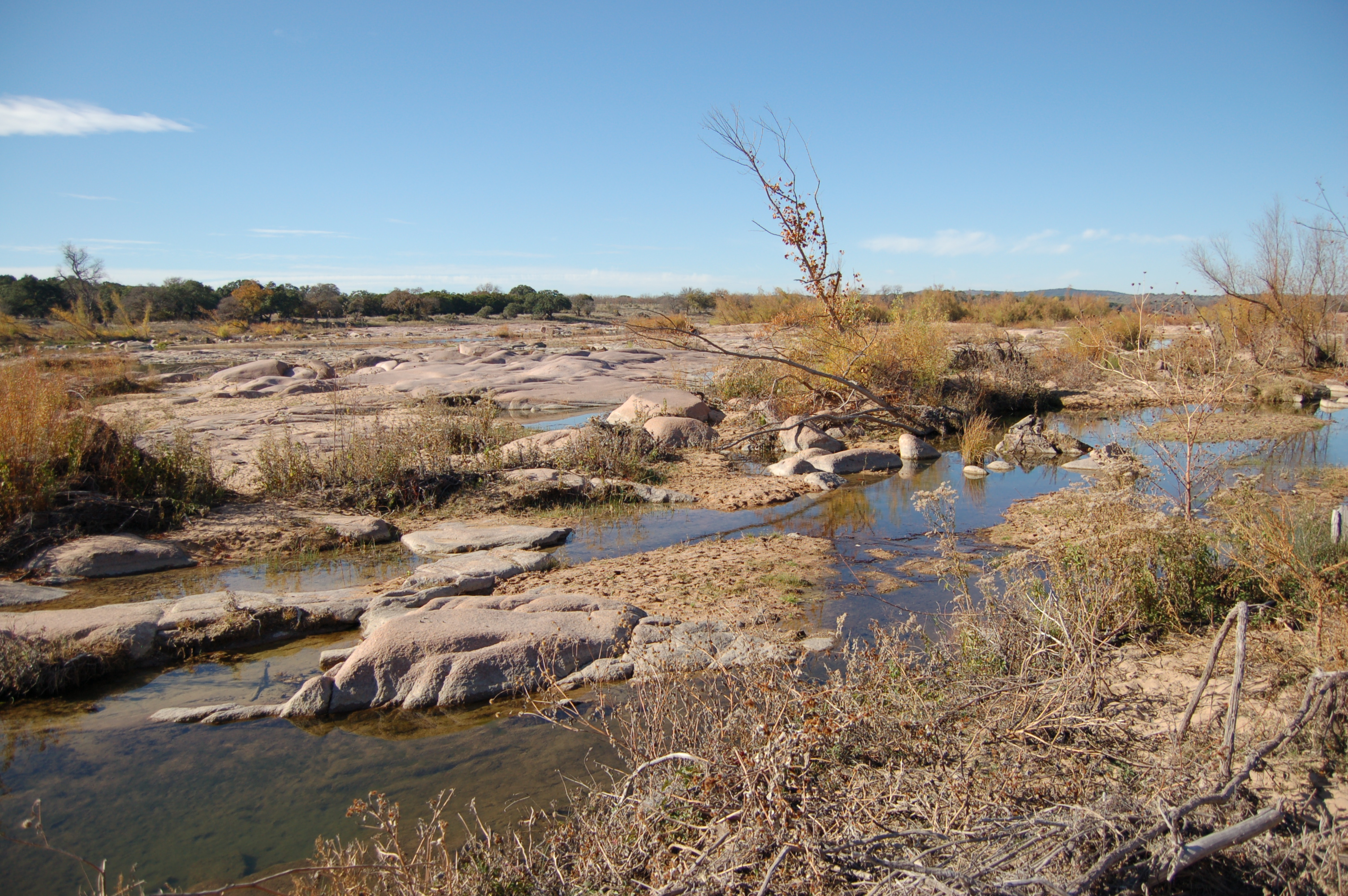 Member content 4 of 12